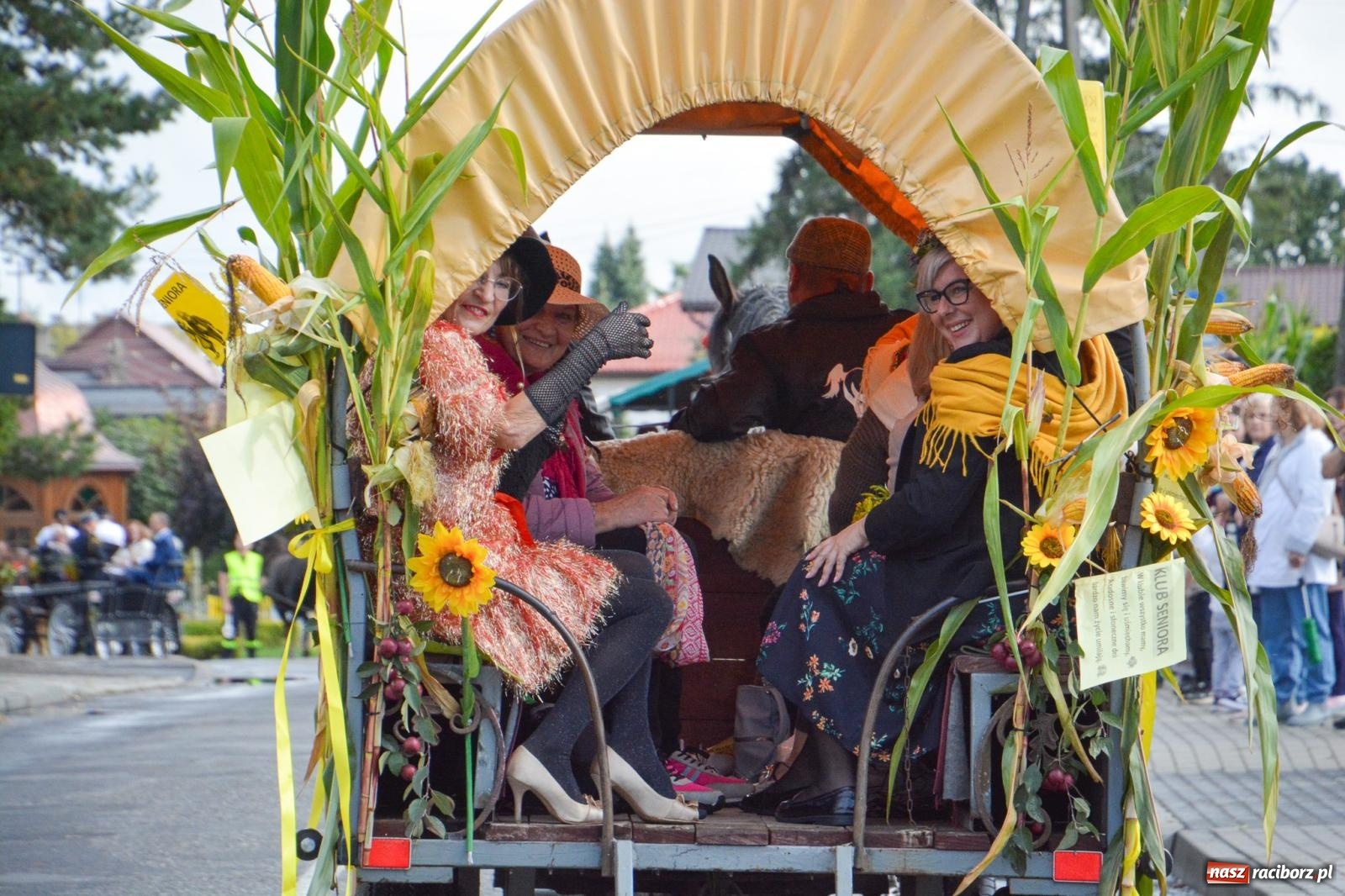 Zdjęcie w galerii na portalu naszraciborz.pl: Pogrzebień gospodarzem dożynek gminnych. Jeden z największych korowodów w powiecie [FOTO i WIDEO] wiadomości z regionu