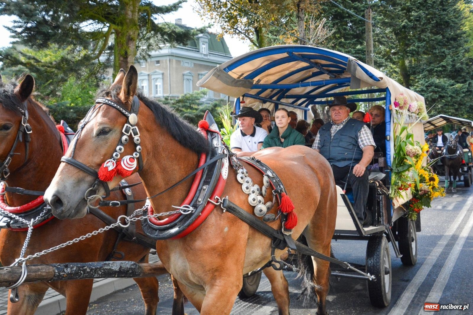 Zdjęcie w galerii na portalu naszraciborz.pl: Pogrzebień gospodarzem dożynek gminnych. Jeden z największych korowodów w powiecie [FOTO i WIDEO] wiadomości z regionu