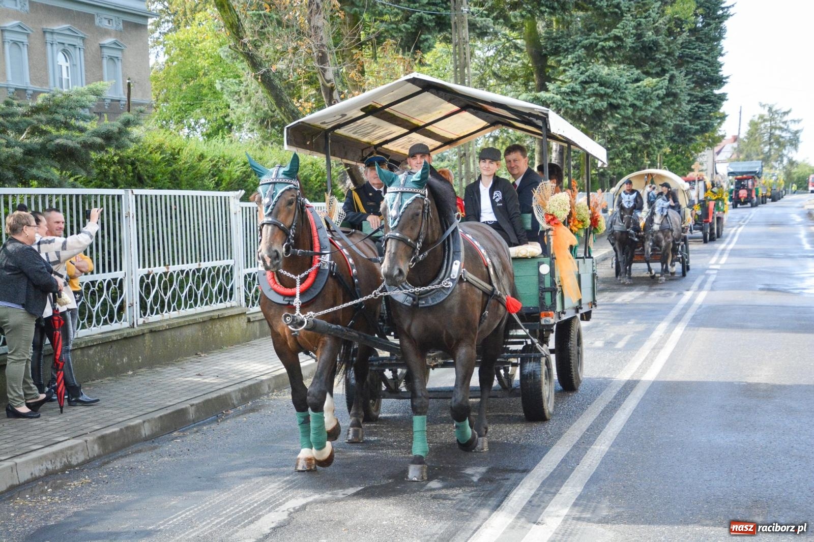 Zdjęcie w galerii na portalu naszraciborz.pl: Pogrzebień gospodarzem dożynek gminnych. Jeden z największych korowodów w powiecie [FOTO i WIDEO] wiadomości z regionu