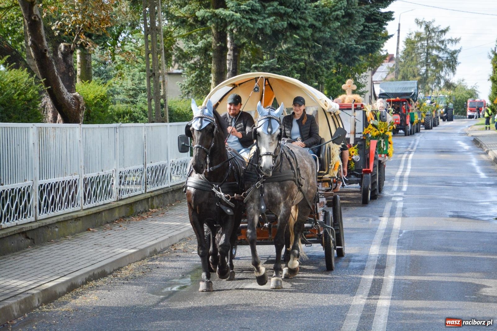 Zdjęcie w galerii na portalu naszraciborz.pl: Pogrzebień gospodarzem dożynek gminnych. Jeden z największych korowodów w powiecie [FOTO i WIDEO] wiadomości z regionu
