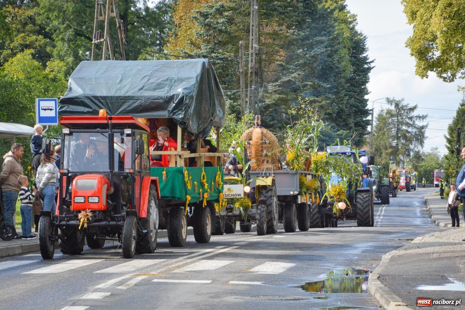 Zdjęcie w galerii na portalu naszraciborz.pl: Pogrzebień gospodarzem dożynek gminnych. Jeden z największych korowodów w powiecie [FOTO i WIDEO] wiadomości z regionu