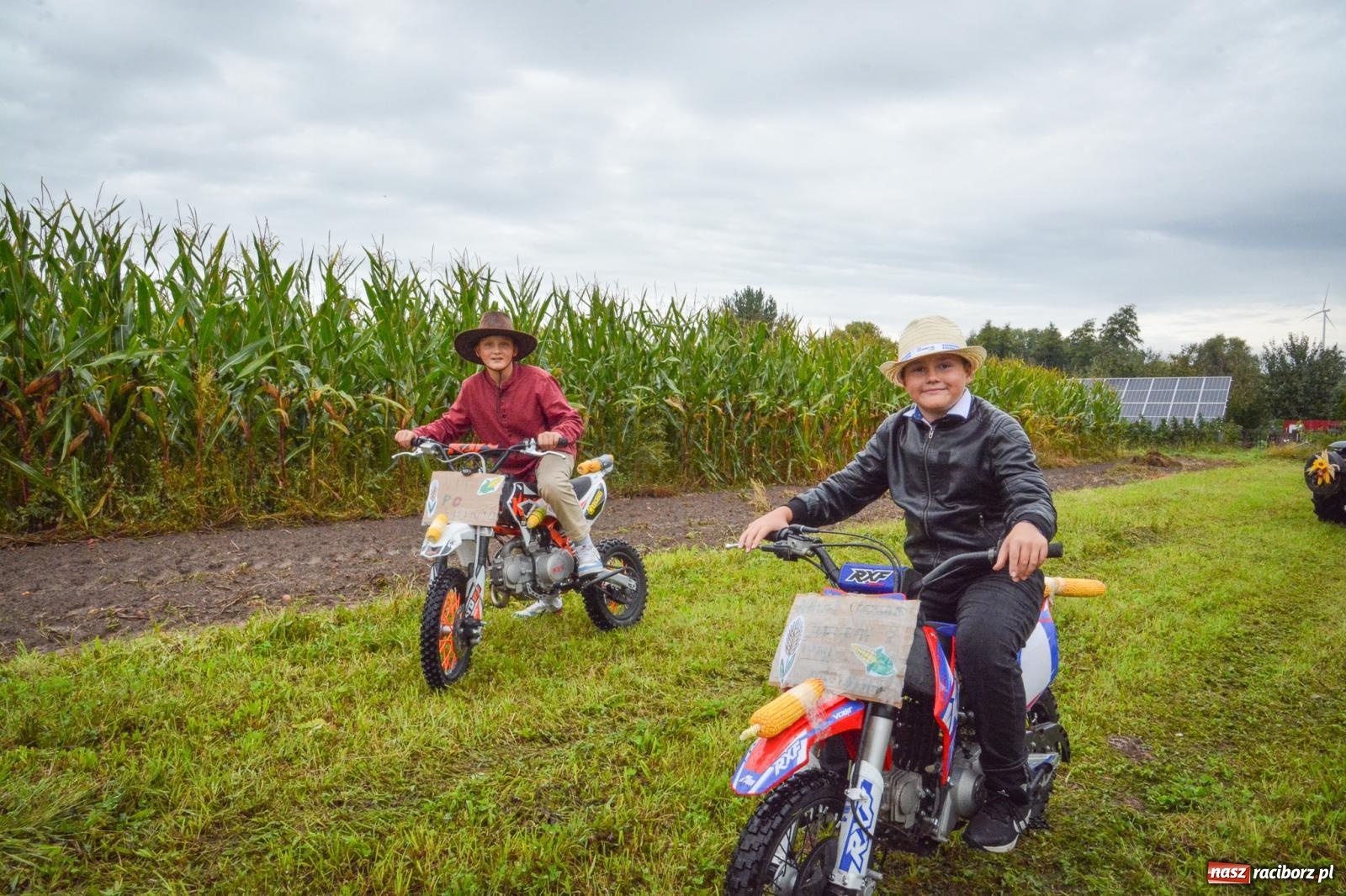 Zdjęcie w galerii na portalu naszraciborz.pl: Samborowice na bursztynowym szlaku. Dożynki 2025 pełne humoru i tradycji [FOTO i WIDEO] wiadomości z regionu