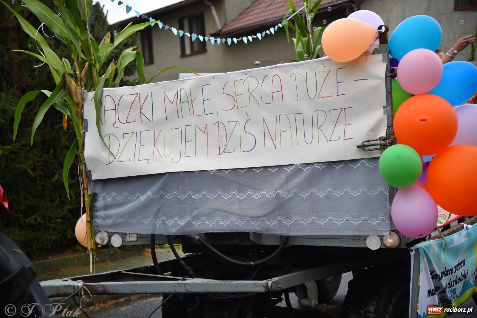 Zdjęcie w galerii na portalu naszraciborz.pl: Samborowice na bursztynowym szlaku. Dożynki 2025 pełne humoru i tradycji [FOTO i WIDEO] wiadomości z regionu