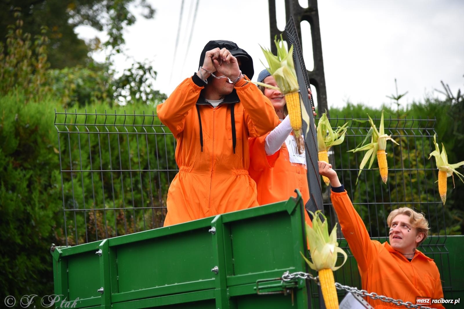 Zdjęcie w galerii na portalu naszraciborz.pl: Samborowice na bursztynowym szlaku. Dożynki 2025 pełne humoru i tradycji [FOTO i WIDEO] wiadomości z regionu