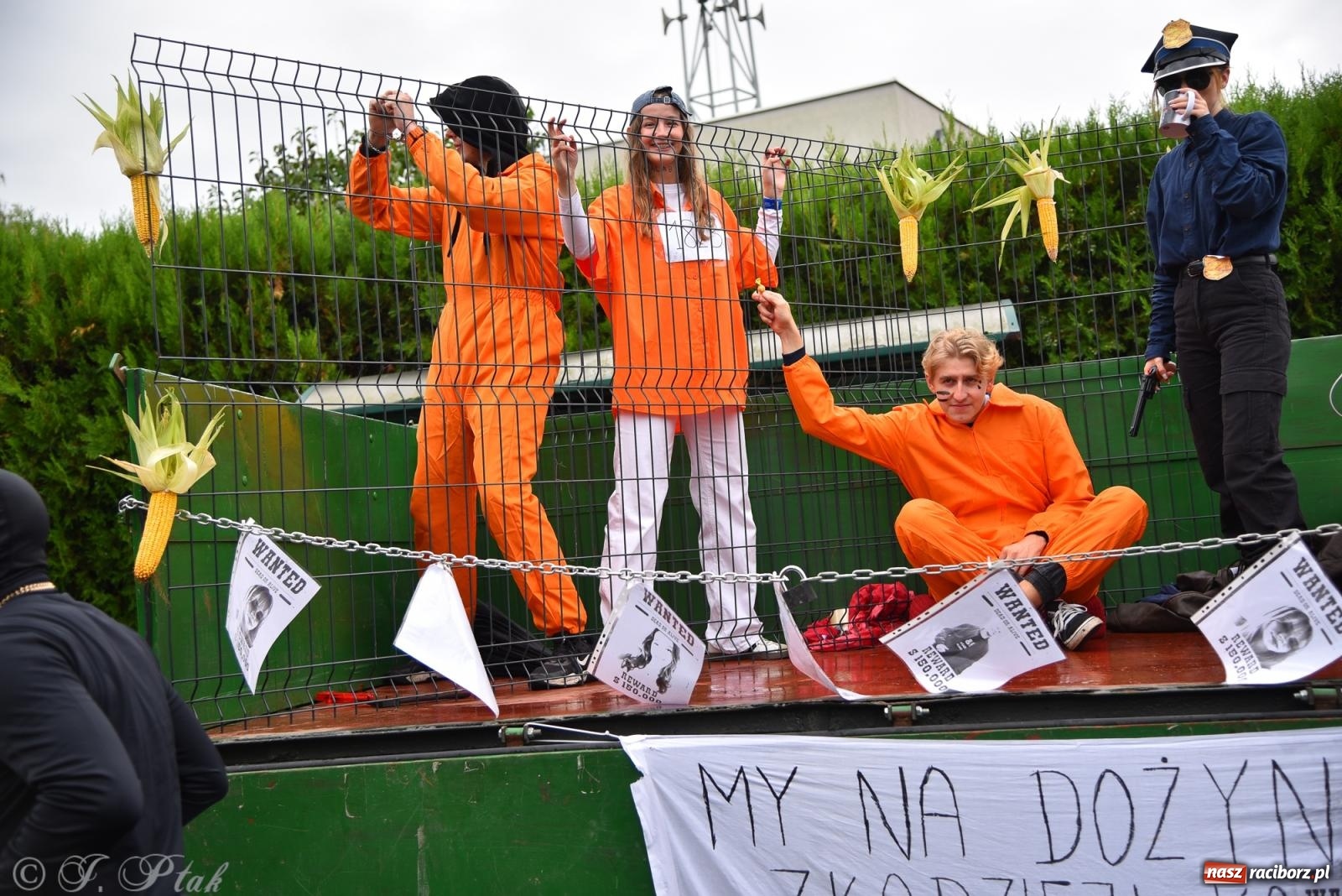 Zdjęcie w galerii na portalu naszraciborz.pl: Samborowice na bursztynowym szlaku. Dożynki 2025 pełne humoru i tradycji [FOTO i WIDEO] wiadomości z regionu