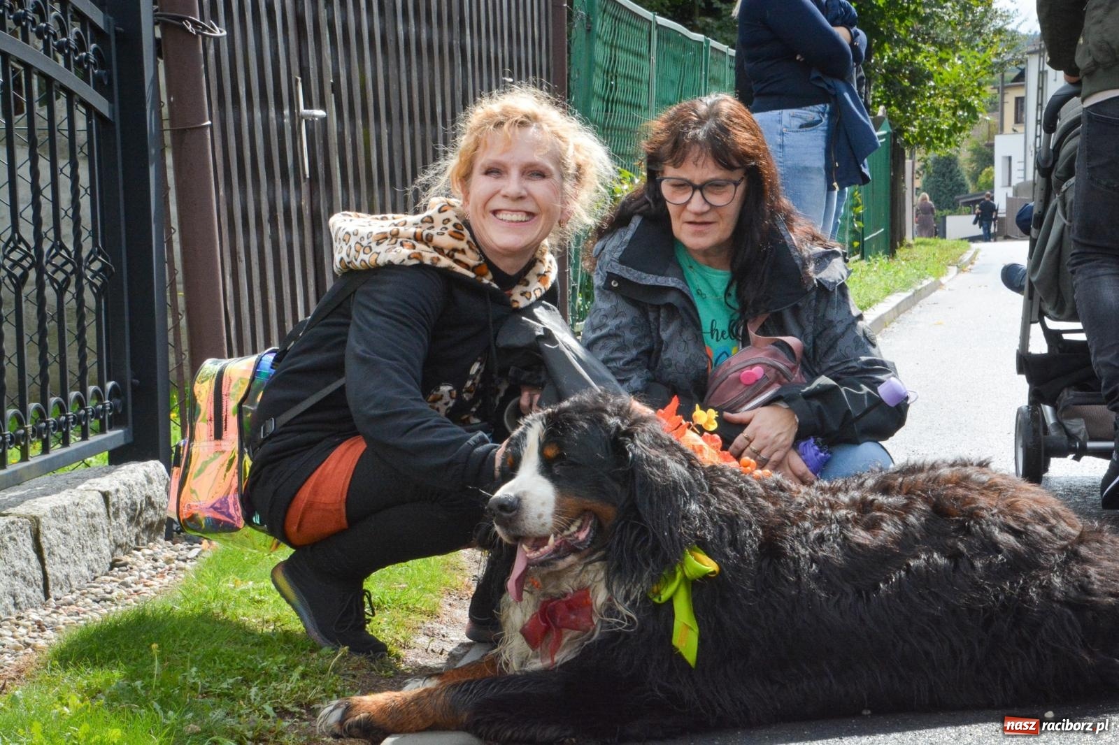 Zdjęcie w galerii na portalu naszraciborz.pl: Borucin świętuje plony. Dożynki z morawską tradycją i nowoczesnym akcentem [FOTO i WIDEO] wiadomości z regionu
