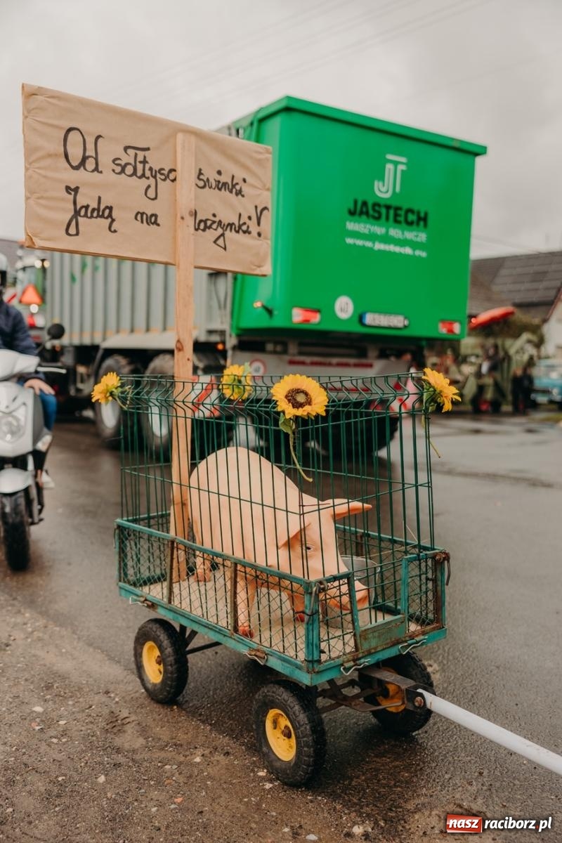 Zdjęcie w galerii na portalu naszraciborz.pl: Gamów zachwyca starą motoryzacją podczas dożynek [FOTO i WIDEO] wiadomości z regionu