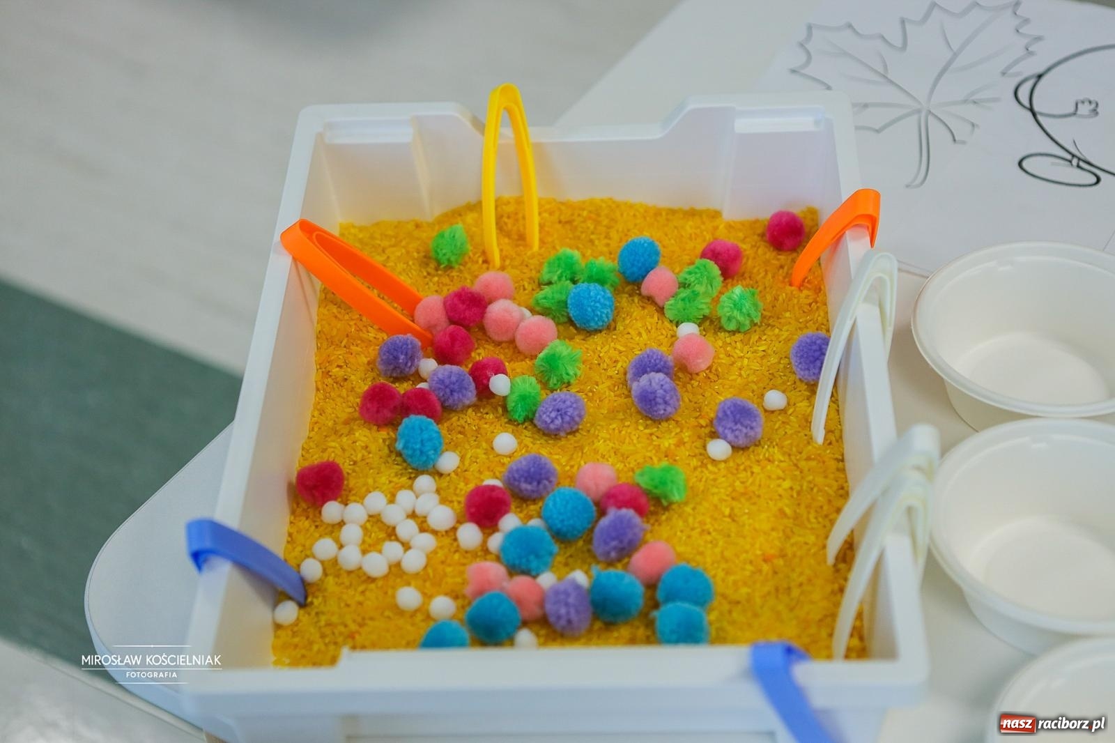 Zdjęcie w galerii na portalu naszraciborz.pl: Raciborska porodówka bez tajemnic. Dzień otwarty przy Gamowskiej wiadomości z regionu