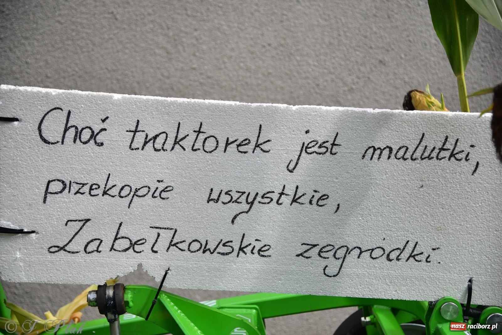 Zdjęcie w galerii na portalu naszraciborz.pl: Dożynkowy korowód wrócił do Zabełkowa [FOTO i WIDEO] wiadomości z regionu