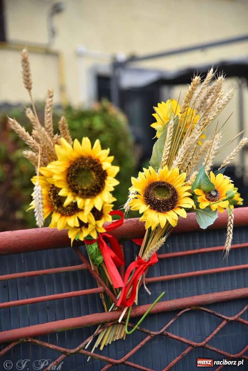 Zdjęcie w galerii na portalu naszraciborz.pl: Dożynkowy korowód wrócił do Zabełkowa [FOTO i WIDEO] wiadomości z regionu