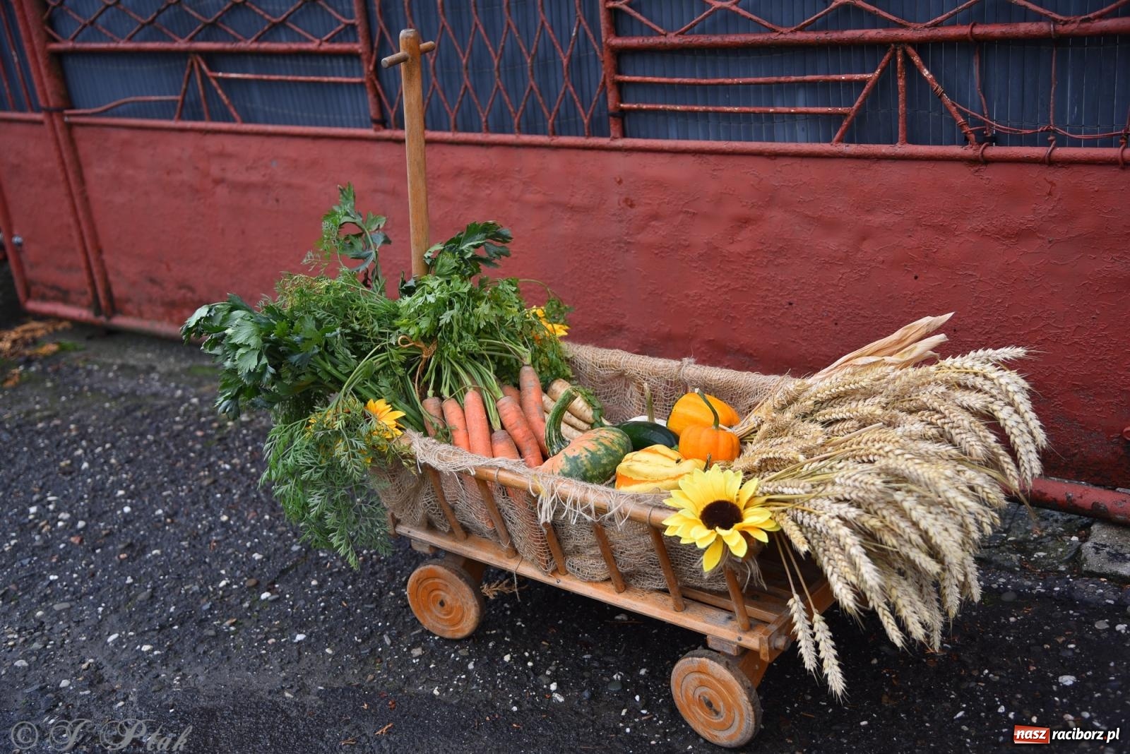 Zdjęcie w galerii na portalu naszraciborz.pl: Dożynkowy korowód wrócił do Zabełkowa [FOTO i WIDEO] wiadomości z regionu