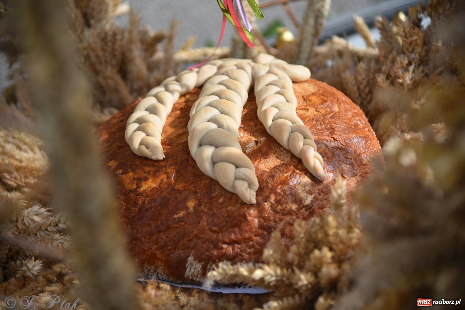 Zdjęcie w galerii na portalu naszraciborz.pl: Dożynkowy korowód wrócił do Zabełkowa [FOTO i WIDEO] wiadomości z regionu