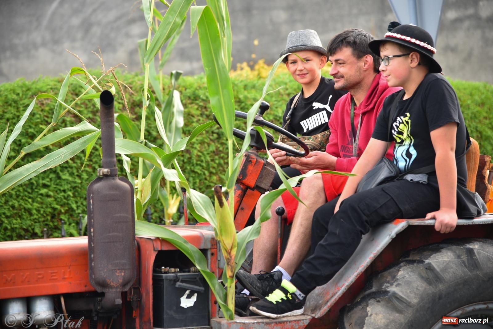 Zdjęcie w galerii na portalu naszraciborz.pl: Dożynkowy korowód wrócił do Zabełkowa [FOTO i WIDEO] wiadomości z regionu
