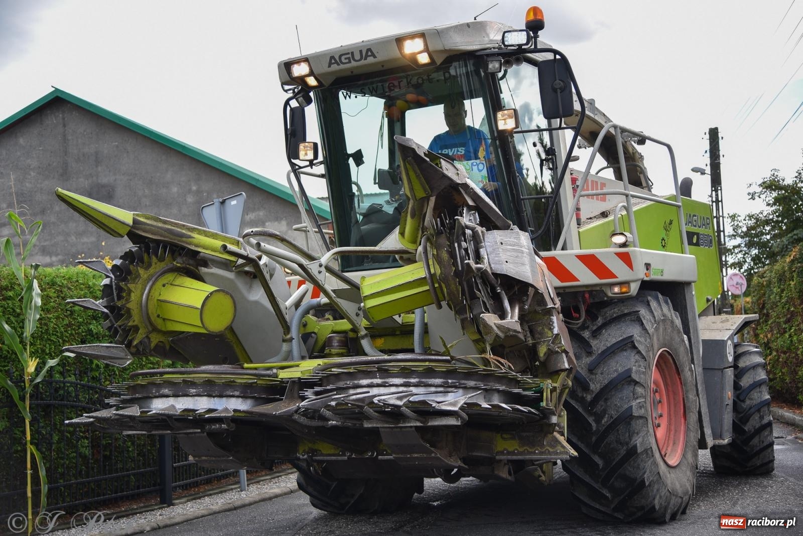 Zdjęcie w galerii na portalu naszraciborz.pl: Dożynkowy korowód wrócił do Zabełkowa [FOTO i WIDEO] wiadomości z regionu