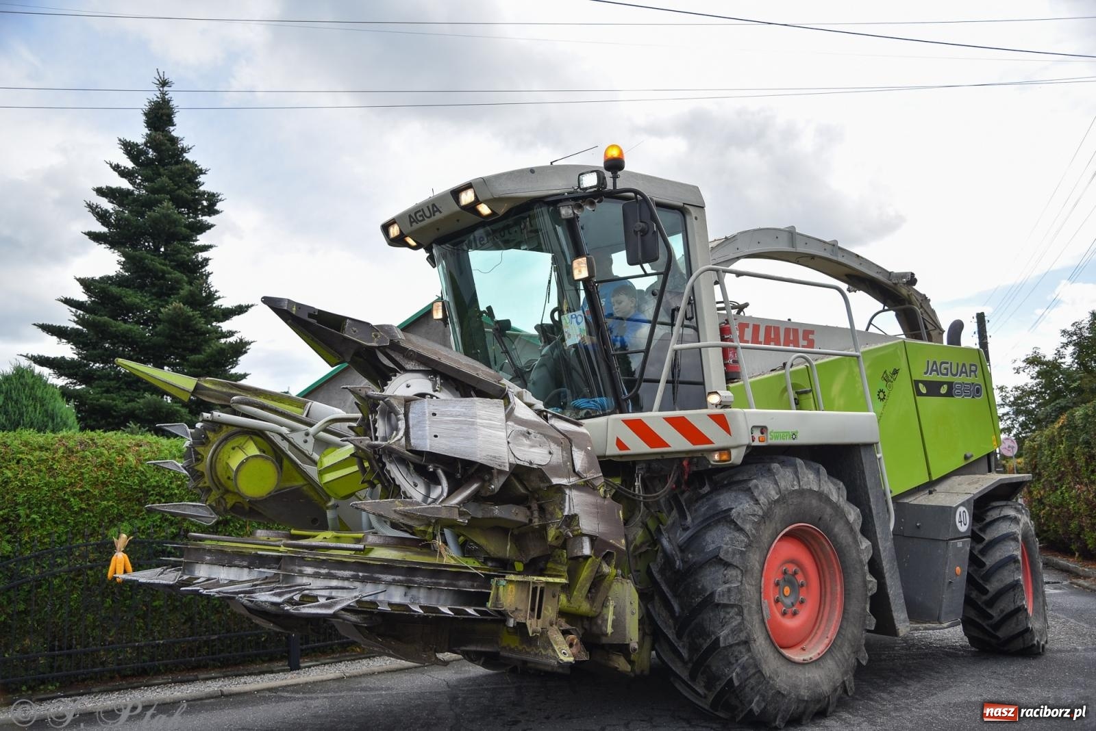 Zdjęcie w galerii na portalu naszraciborz.pl: Dożynkowy korowód wrócił do Zabełkowa [FOTO i WIDEO] wiadomości z regionu