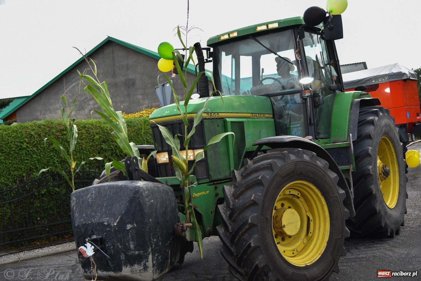 Zdjęcie w galerii na portalu naszraciborz.pl: Dożynkowy korowód wrócił do Zabełkowa [FOTO i WIDEO] wiadomości z regionu