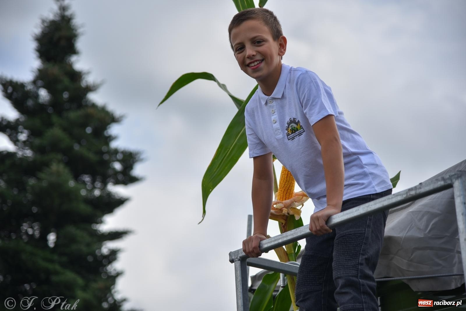 Zdjęcie w galerii na portalu naszraciborz.pl: Dożynkowy korowód wrócił do Zabełkowa [FOTO i WIDEO] wiadomości z regionu