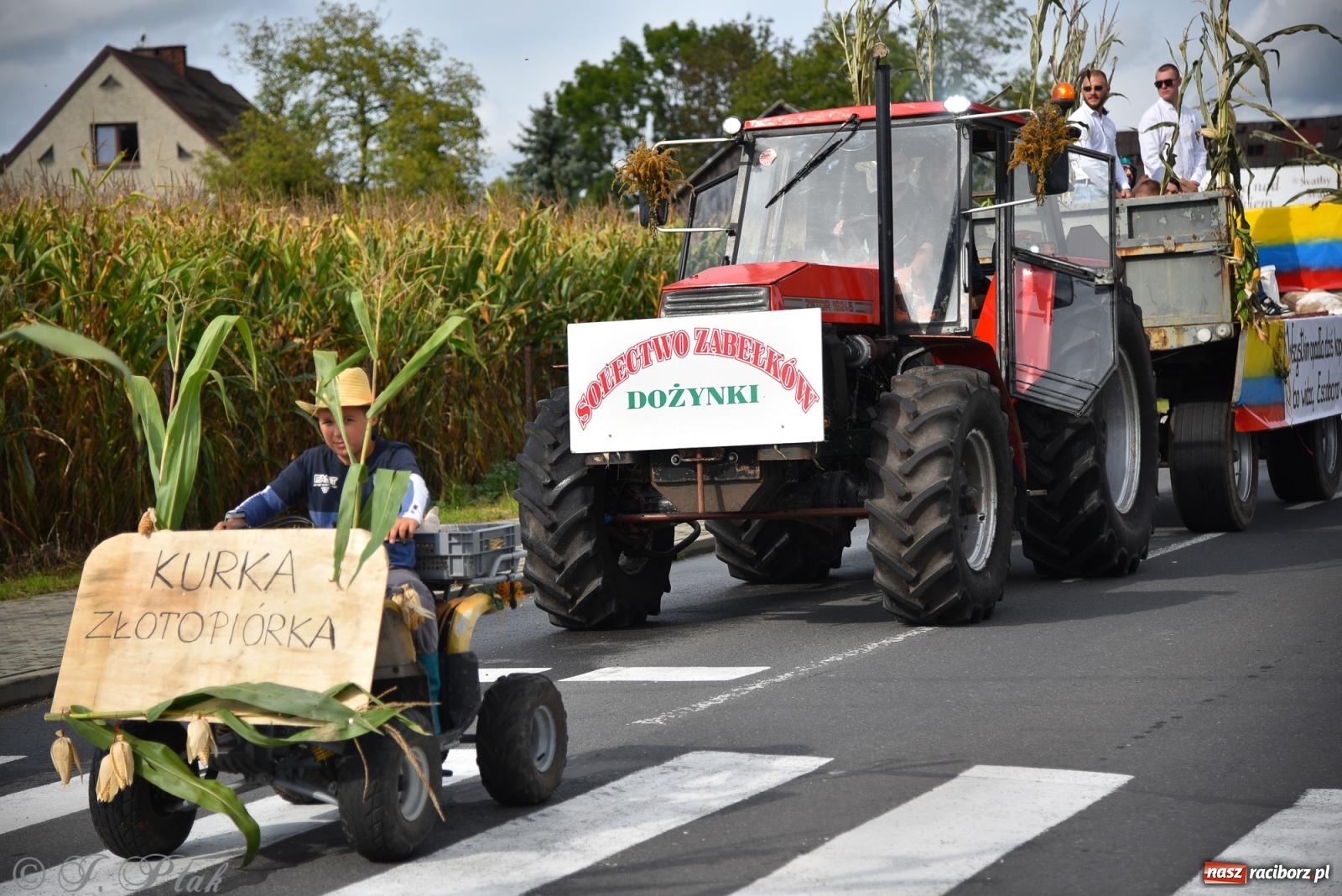 Zdjęcie w galerii na portalu naszraciborz.pl: Dożynkowy korowód wrócił do Zabełkowa [FOTO i WIDEO] wiadomości z regionu