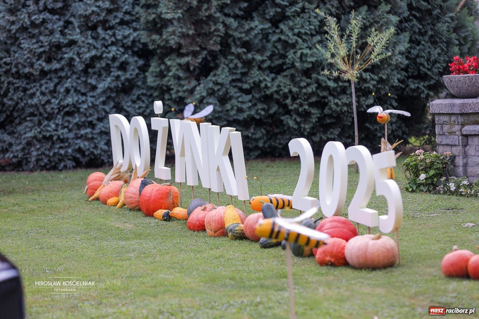 Zdjęcie w galerii na portalu naszraciborz.pl: Płonia świętuje razem – piknik Łączymy pokolenia, pielęgnujemy tradycje wiadomości z regionu