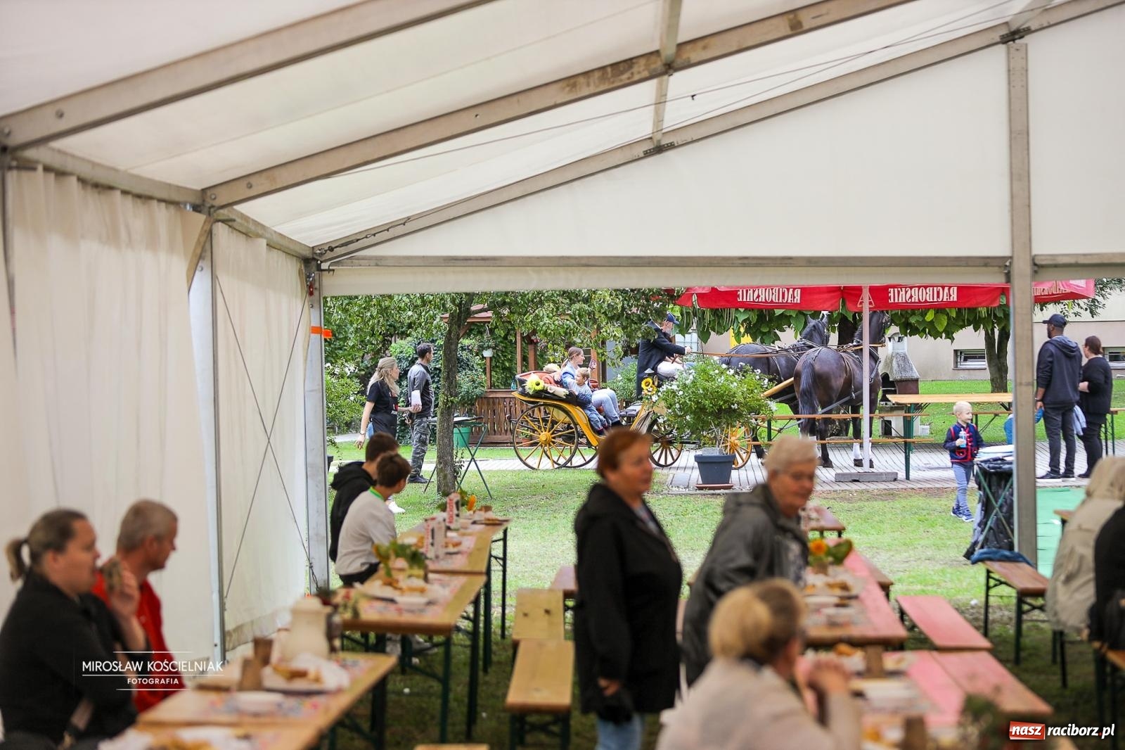 Zdjęcie w galerii na portalu naszraciborz.pl: Płonia świętuje razem – piknik Łączymy pokolenia, pielęgnujemy tradycje wiadomości z regionu
