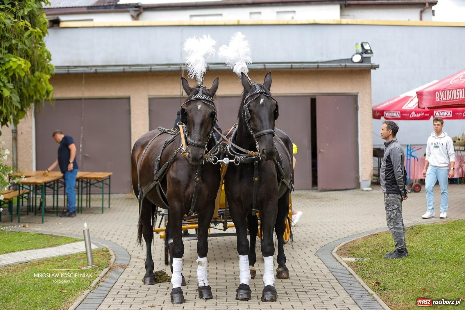 Zdjęcie w galerii na portalu naszraciborz.pl: Płonia świętuje razem – piknik Łączymy pokolenia, pielęgnujemy tradycje wiadomości z regionu