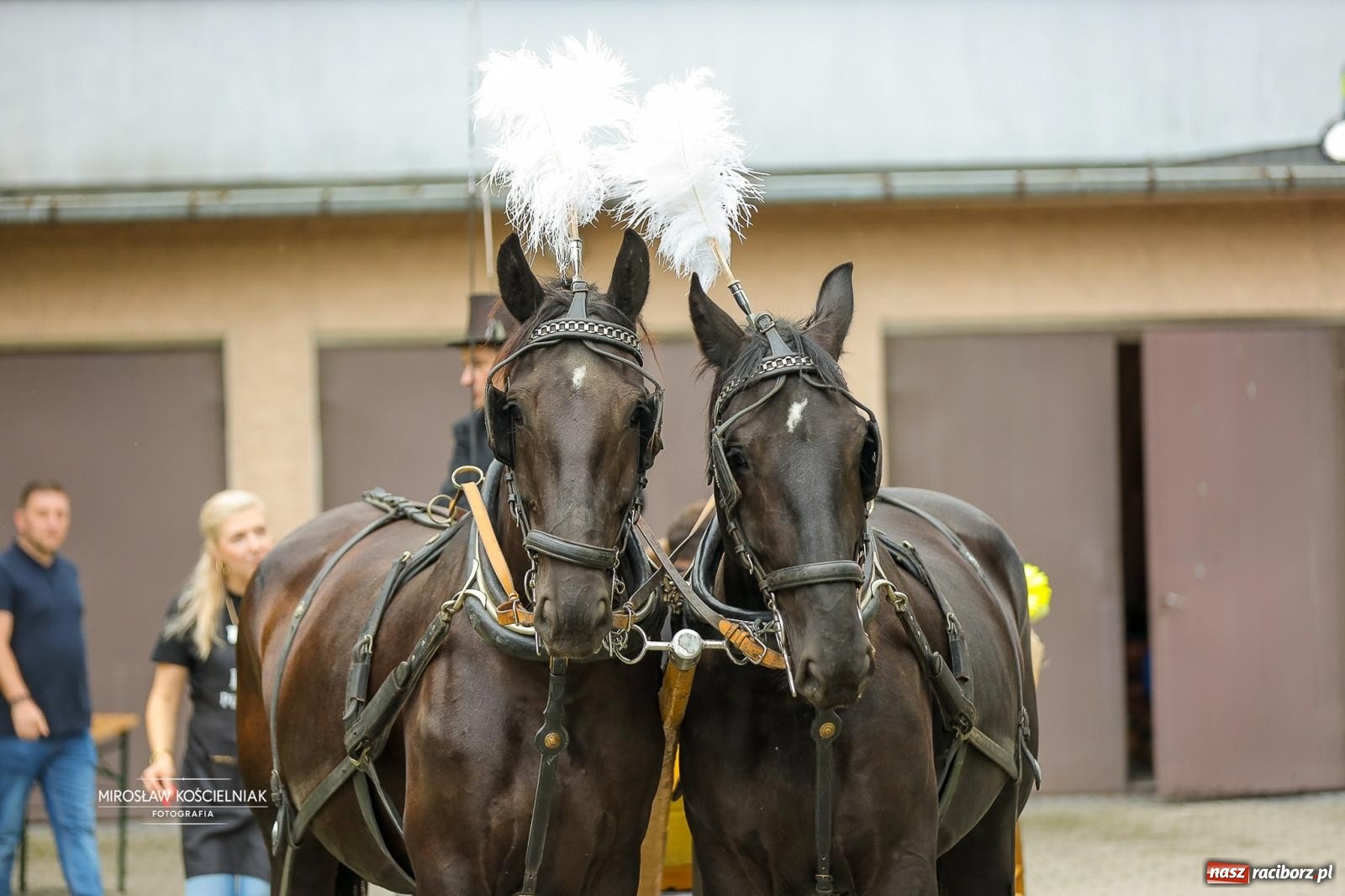 Zdjęcie w galerii na portalu naszraciborz.pl: Płonia świętuje razem – piknik Łączymy pokolenia, pielęgnujemy tradycje wiadomości z regionu