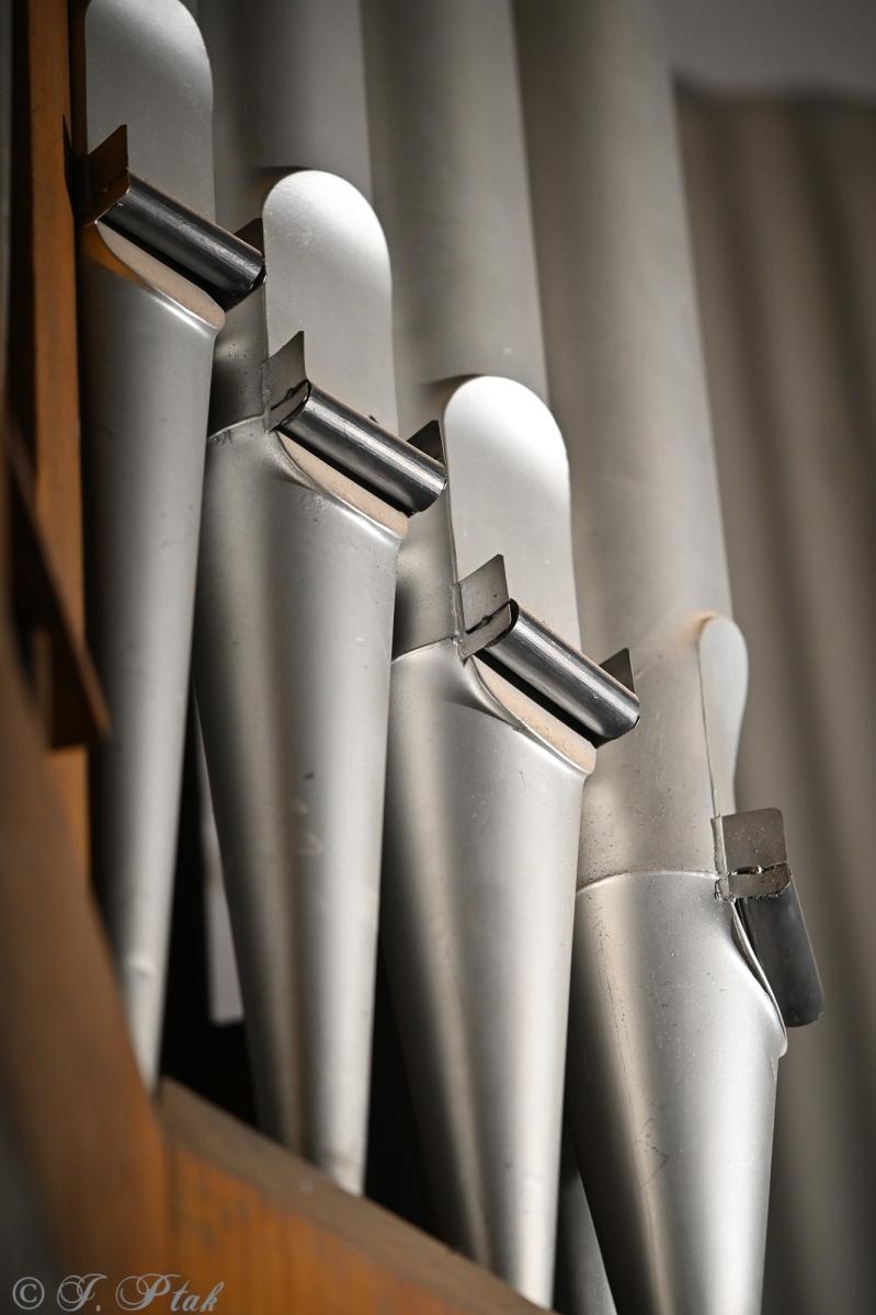 Zdjęcie w galerii na portalu naszraciborz.pl: Wielki duet w raciborskiej farze – Perucki i Długosz w blasku muzyki wiadomości z regionu