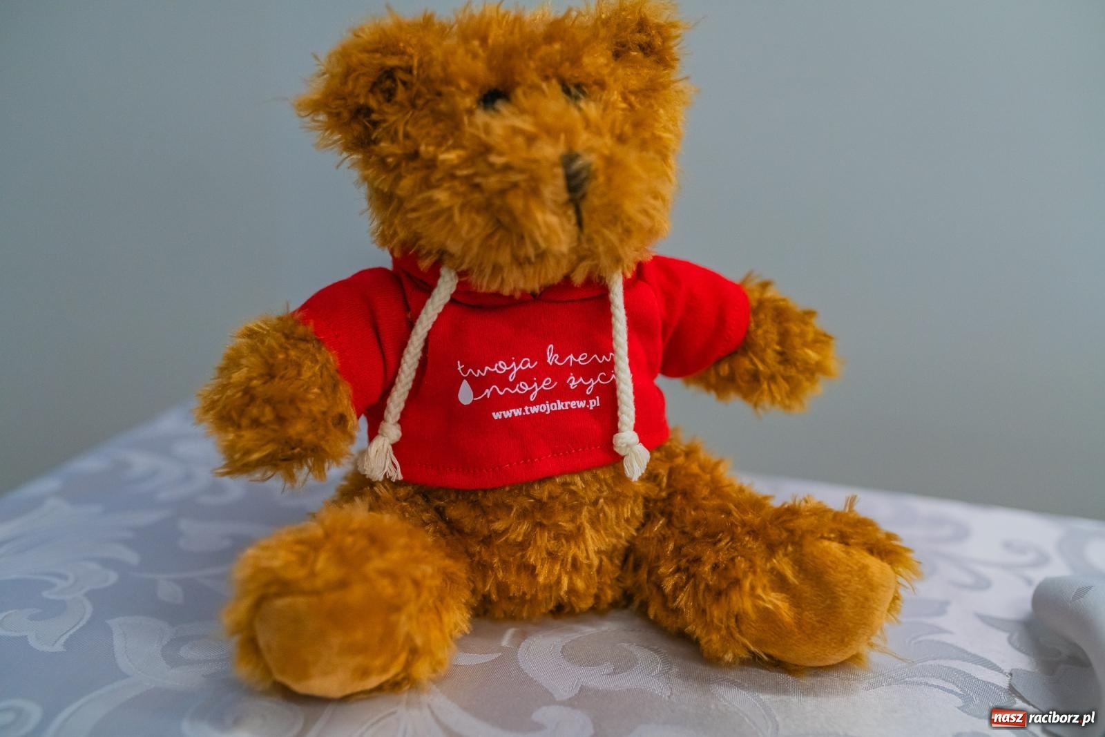 Zdjęcie w galerii na portalu naszraciborz.pl: Wielki szacunek. Dawcy krwi uhonorowani w Raciborzu [FOTO i WIDEO] wiadomości z regionu