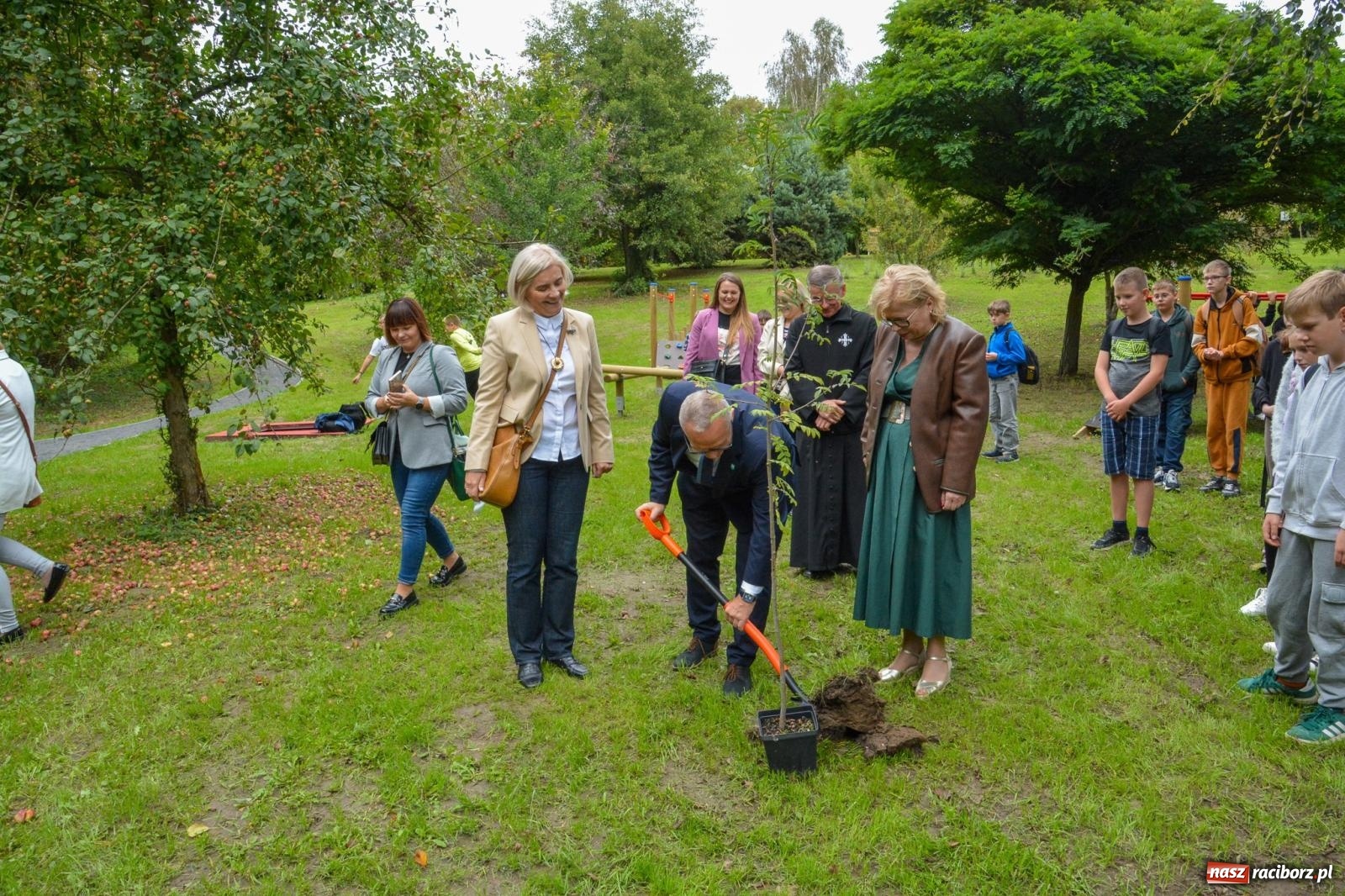 Zdjęcie w galerii na portalu naszraciborz.pl: Dziedzictwo Leona Mludka rozkwita – Pietrowice Wielkie z Zielonym Arboretum dzięki WFOŚiGW wiadomości z regionu