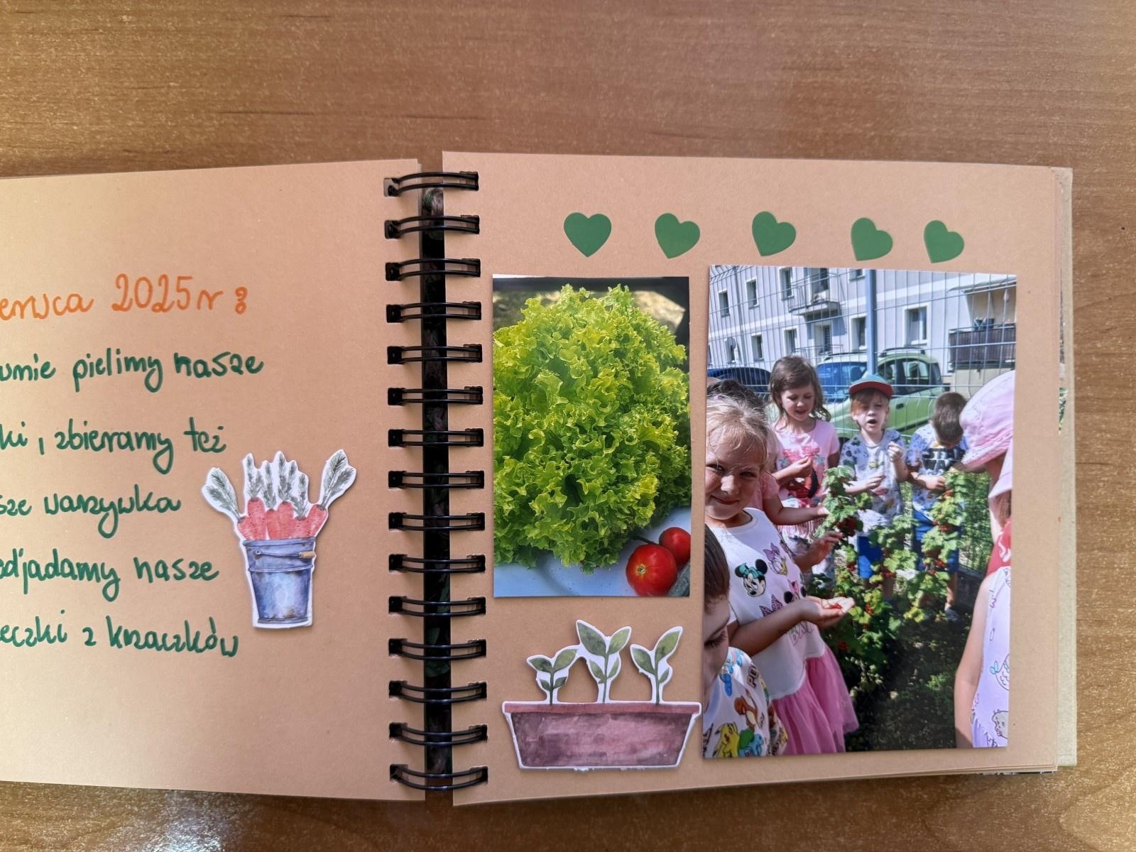 Zdjęcie w galerii na portalu naszraciborz.pl: Rozstrzygnięto konkurs Z pamiętnika małego ogrodnika wiadomości z regionu