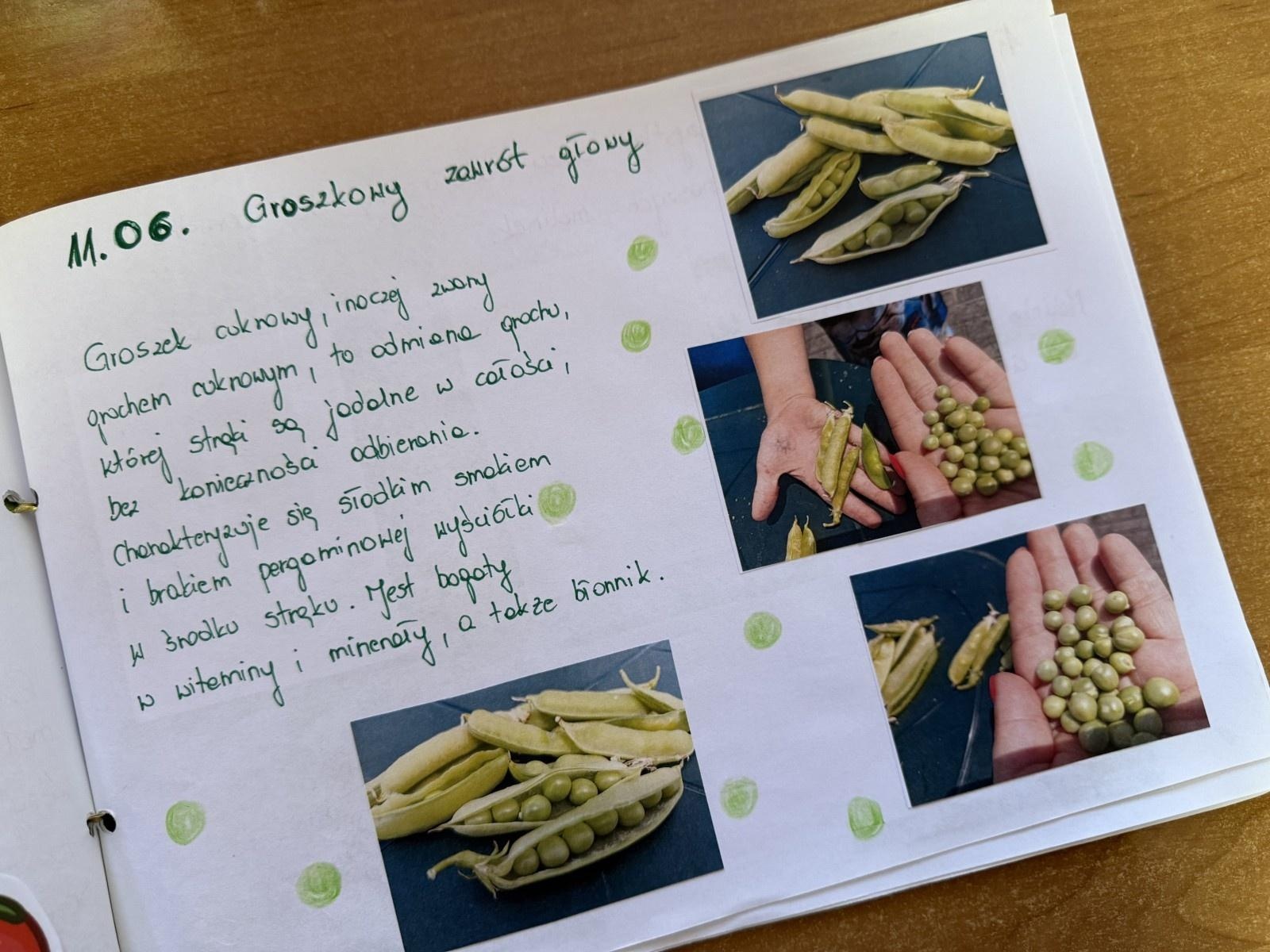 Zdjęcie w galerii na portalu naszraciborz.pl: Rozstrzygnięto konkurs Z pamiętnika małego ogrodnika wiadomości z regionu