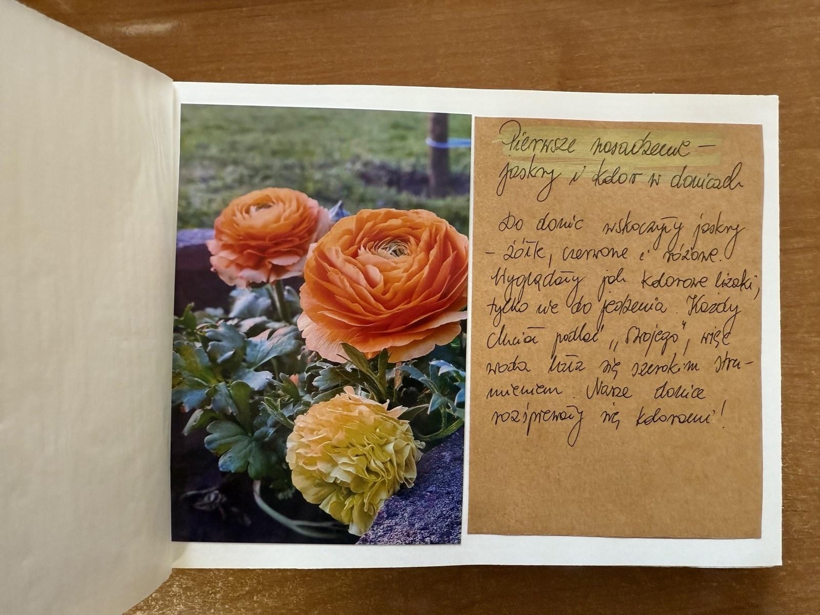 Zdjęcie w galerii na portalu naszraciborz.pl: Rozstrzygnięto konkurs Z pamiętnika małego ogrodnika wiadomości z regionu