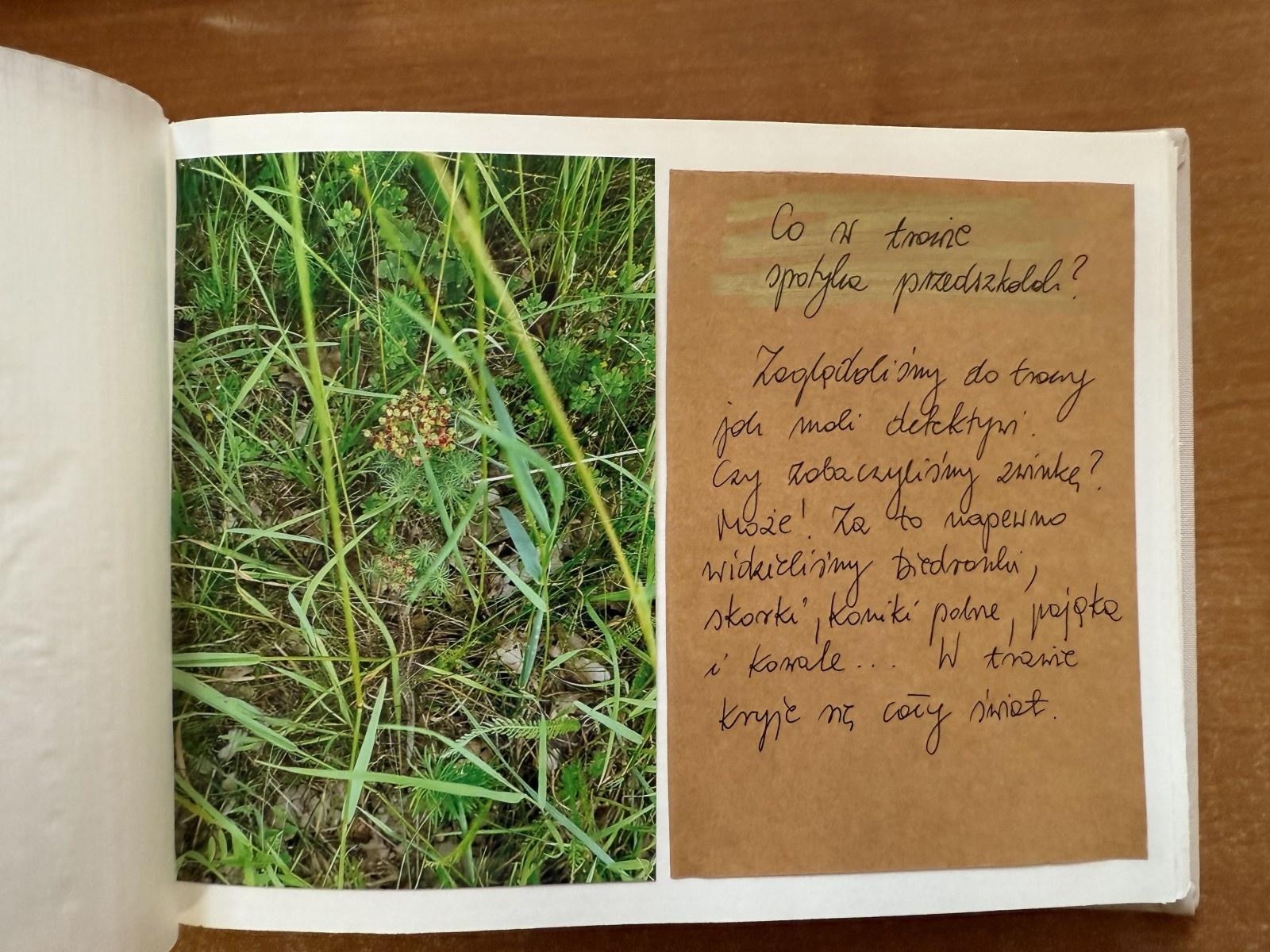 Zdjęcie w galerii na portalu naszraciborz.pl: Rozstrzygnięto konkurs Z pamiętnika małego ogrodnika wiadomości z regionu