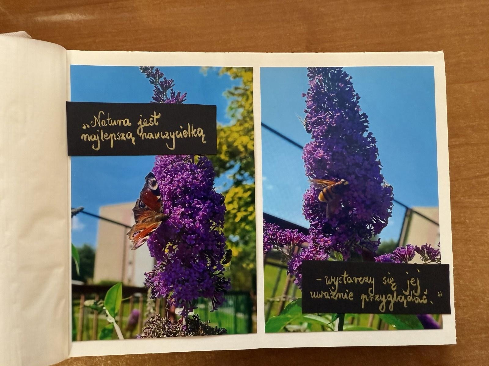 Zdjęcie w galerii na portalu naszraciborz.pl: Rozstrzygnięto konkurs Z pamiętnika małego ogrodnika wiadomości z regionu