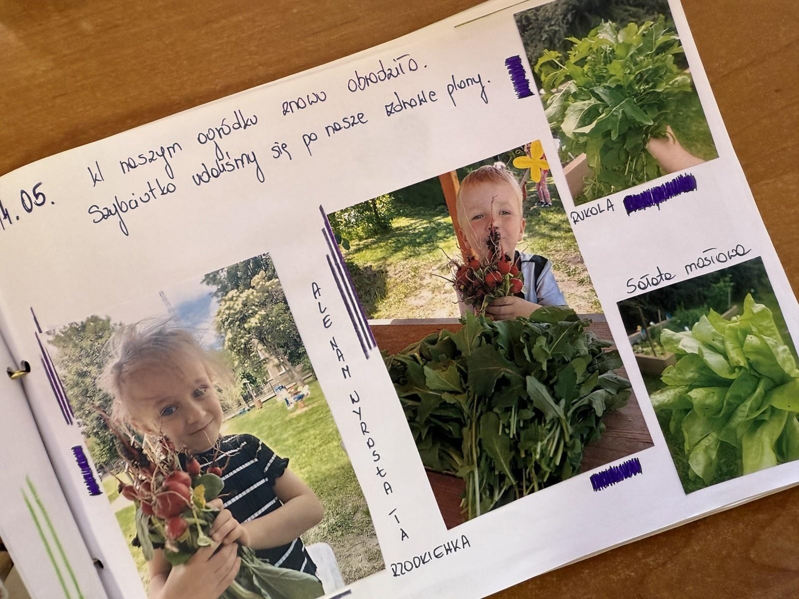 Zdjęcie w galerii na portalu naszraciborz.pl: Rozstrzygnięto konkurs Z pamiętnika małego ogrodnika wiadomości z regionu