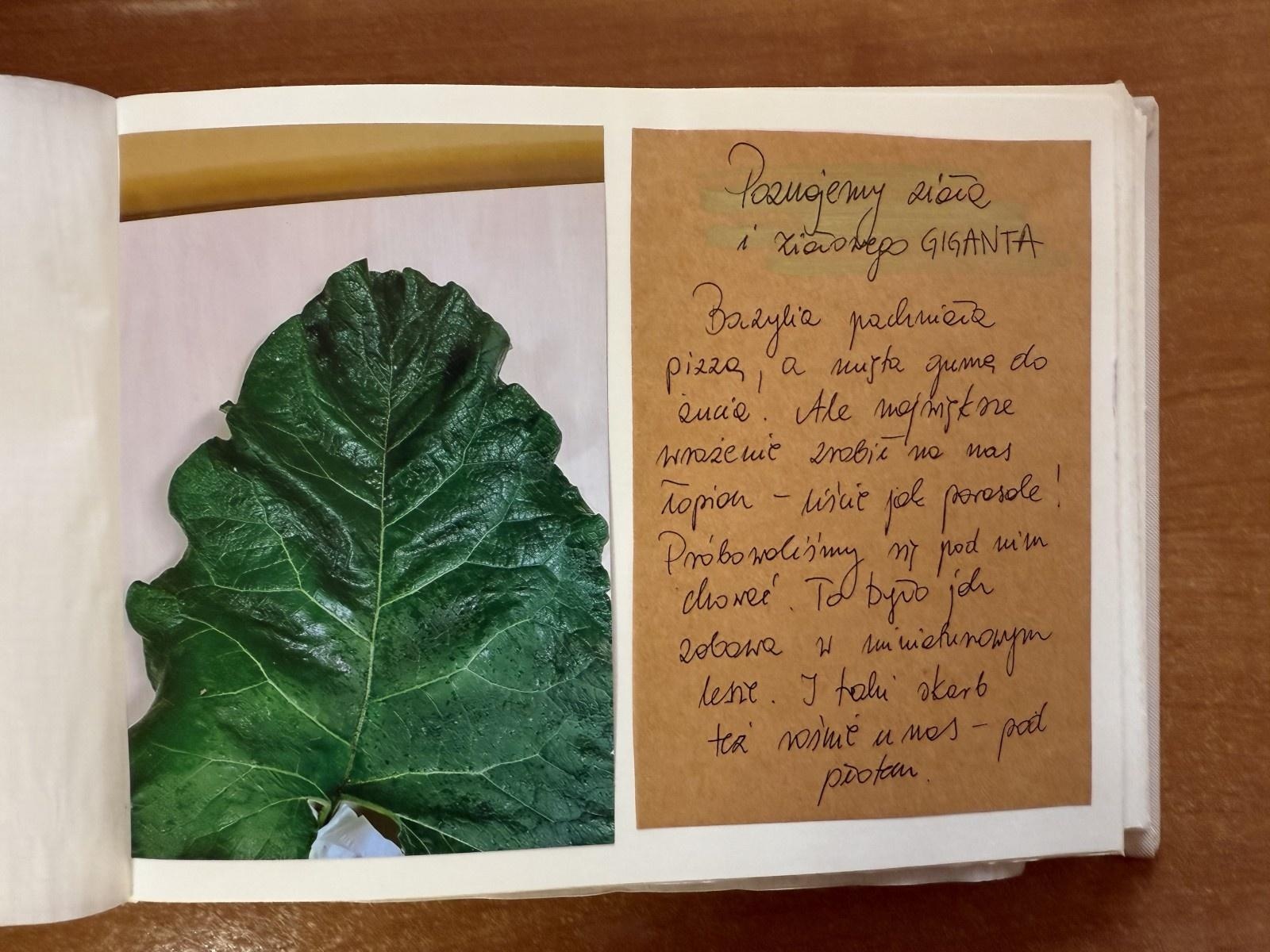 Zdjęcie w galerii na portalu naszraciborz.pl: Rozstrzygnięto konkurs Z pamiętnika małego ogrodnika wiadomości z regionu