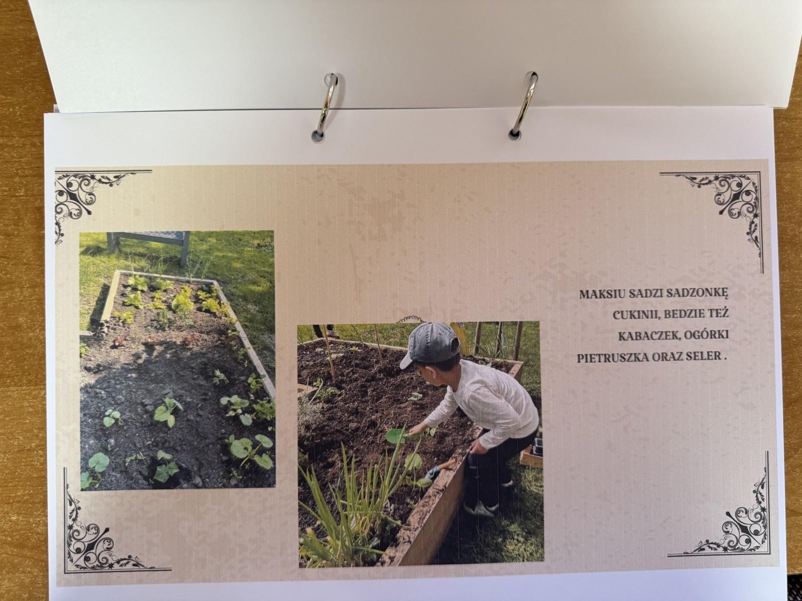 Zdjęcie w galerii na portalu naszraciborz.pl: Rozstrzygnięto konkurs Z pamiętnika małego ogrodnika wiadomości z regionu