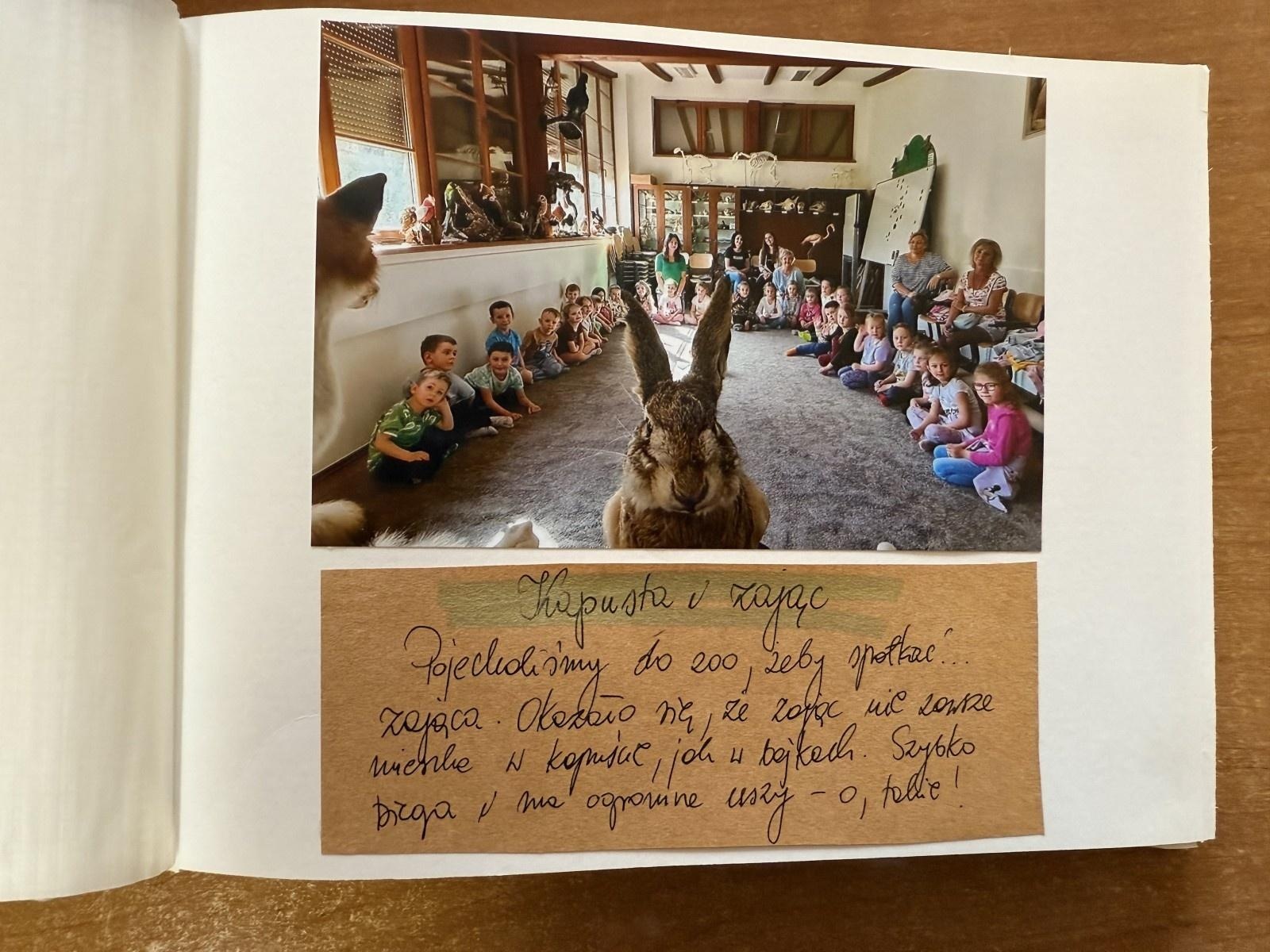 Zdjęcie w galerii na portalu naszraciborz.pl: Rozstrzygnięto konkurs Z pamiętnika małego ogrodnika wiadomości z regionu