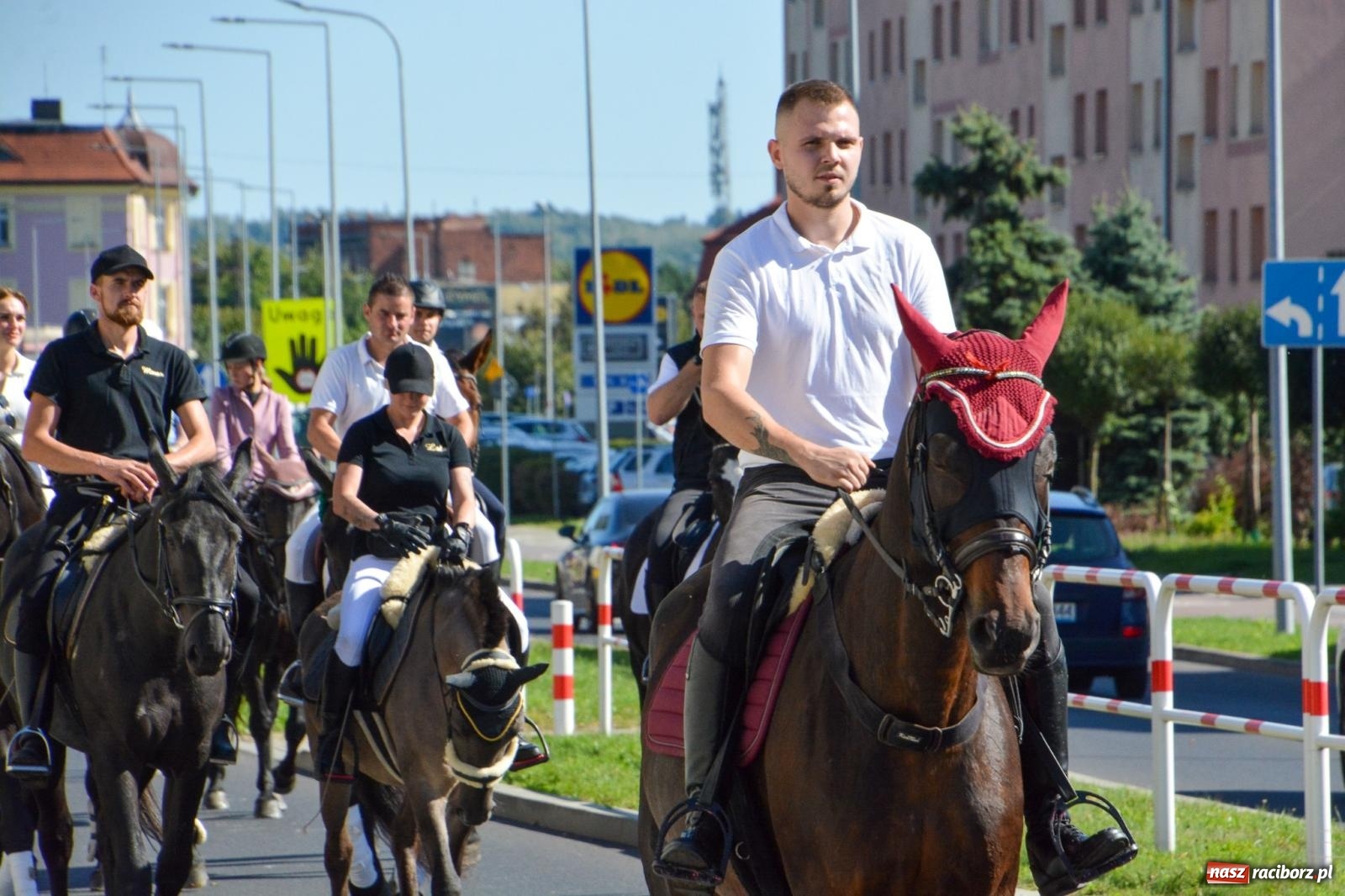 Zdjęcie w galerii na portalu naszraciborz.pl: Hubertus na Ostrogu. Jeźdźcy, bryczki i pogoń za lisem w Raciborzu wiadomości z regionu