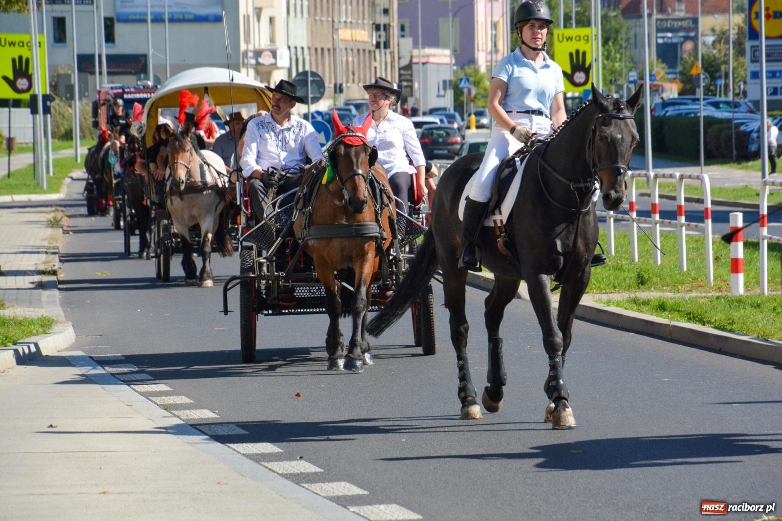 Zdjęcie w galerii na portalu naszraciborz.pl: Hubertus na Ostrogu. Jeźdźcy, bryczki i pogoń za lisem w Raciborzu wiadomości z regionu