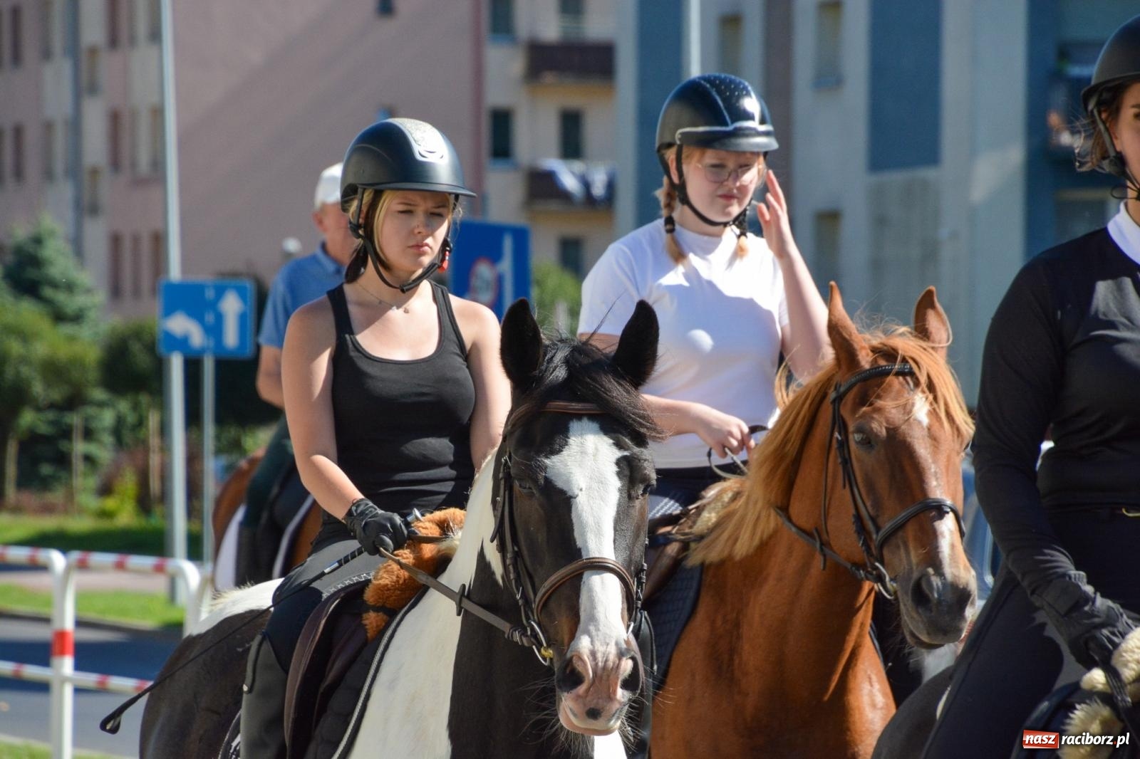 Zdjęcie w galerii na portalu naszraciborz.pl: Hubertus na Ostrogu. Jeźdźcy, bryczki i pogoń za lisem w Raciborzu wiadomości z regionu