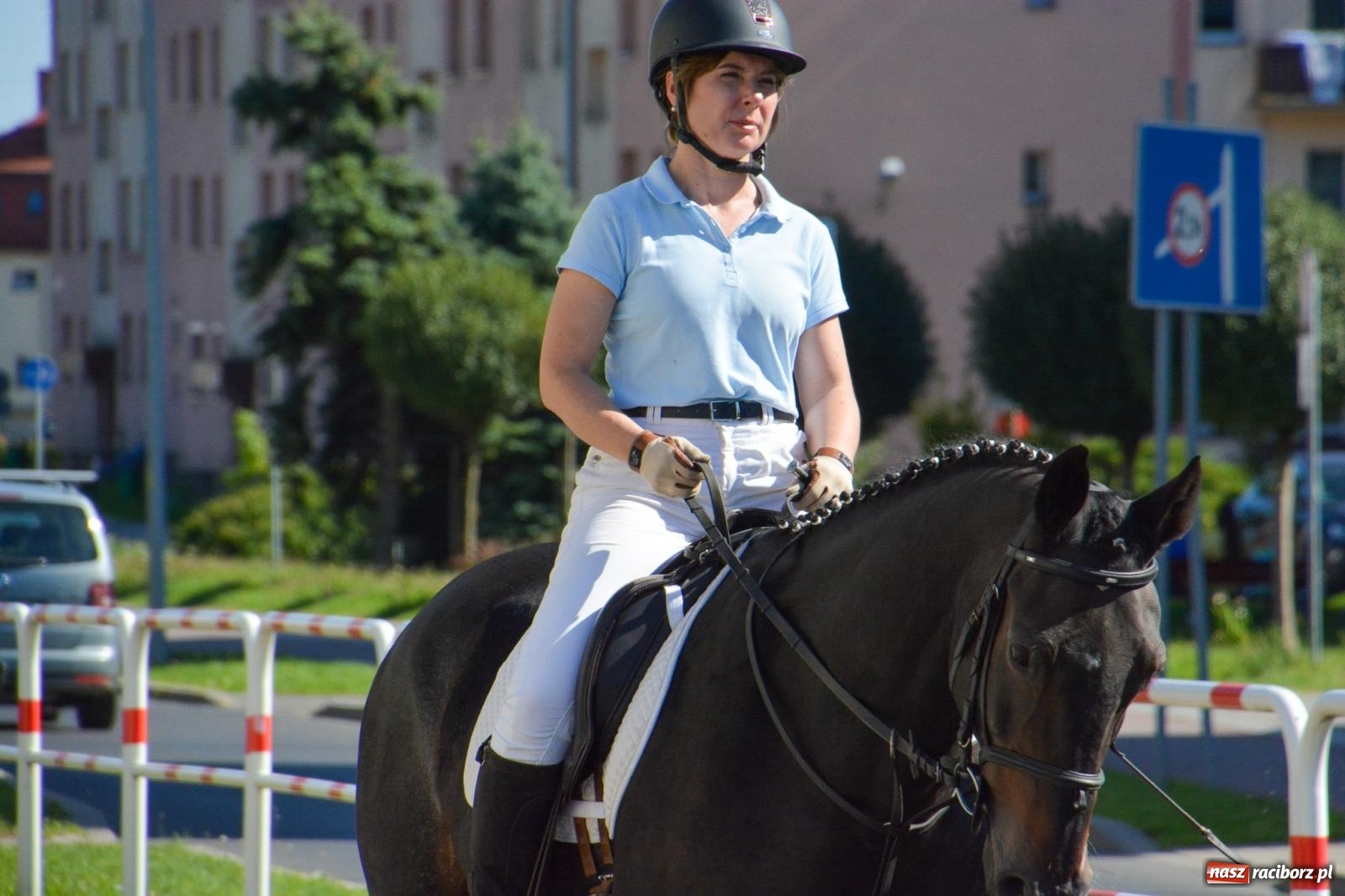 Zdjęcie w galerii na portalu naszraciborz.pl: Hubertus na Ostrogu. Jeźdźcy, bryczki i pogoń za lisem w Raciborzu wiadomości z regionu