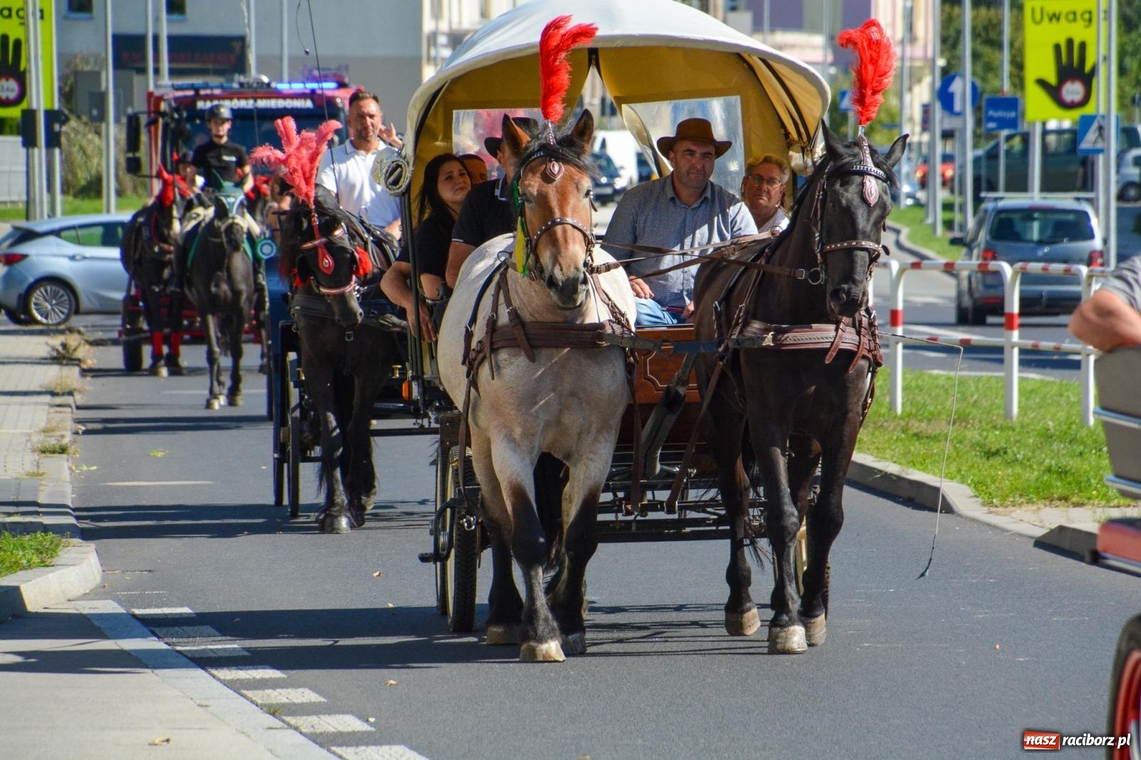 Zdjęcie w galerii na portalu naszraciborz.pl: Hubertus na Ostrogu. Jeźdźcy, bryczki i pogoń za lisem w Raciborzu wiadomości z regionu