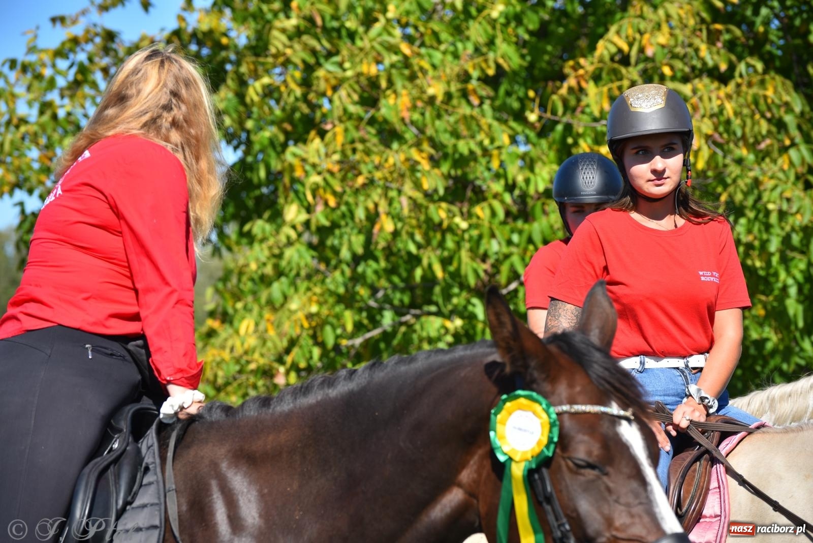 Zdjęcie w galerii na portalu naszraciborz.pl: Hubertus na Ostrogu. Jeźdźcy, bryczki i pogoń za lisem w Raciborzu wiadomości z regionu