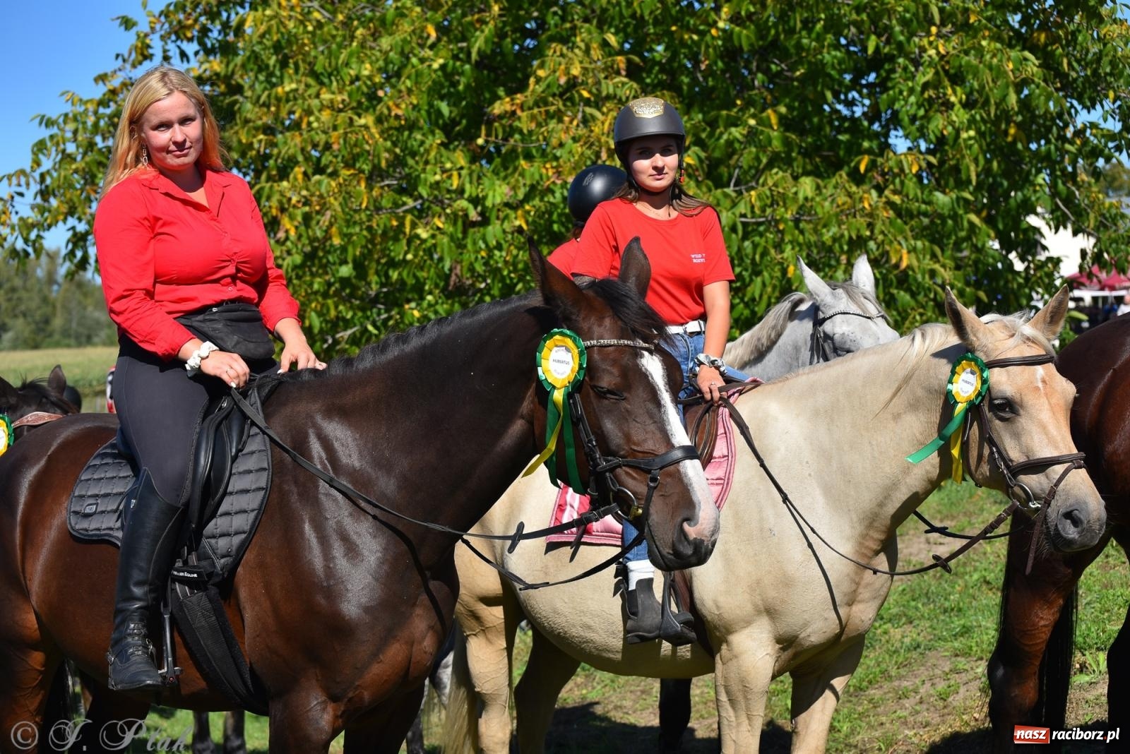 Zdjęcie w galerii na portalu naszraciborz.pl: Hubertus na Ostrogu. Jeźdźcy, bryczki i pogoń za lisem w Raciborzu wiadomości z regionu