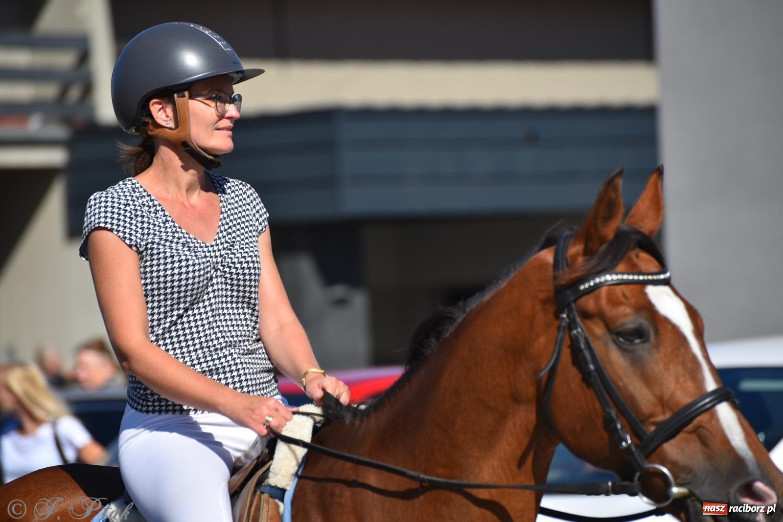 Zdjęcie w galerii na portalu naszraciborz.pl: Hubertus na Ostrogu. Jeźdźcy, bryczki i pogoń za lisem w Raciborzu wiadomości z regionu