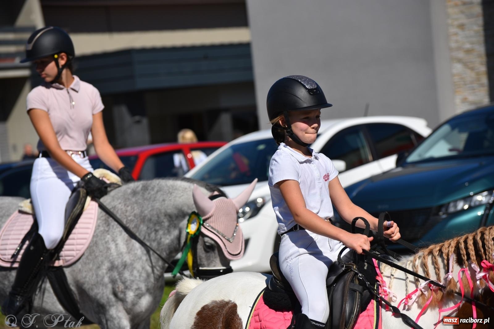 Zdjęcie w galerii na portalu naszraciborz.pl: Hubertus na Ostrogu. Jeźdźcy, bryczki i pogoń za lisem w Raciborzu wiadomości z regionu