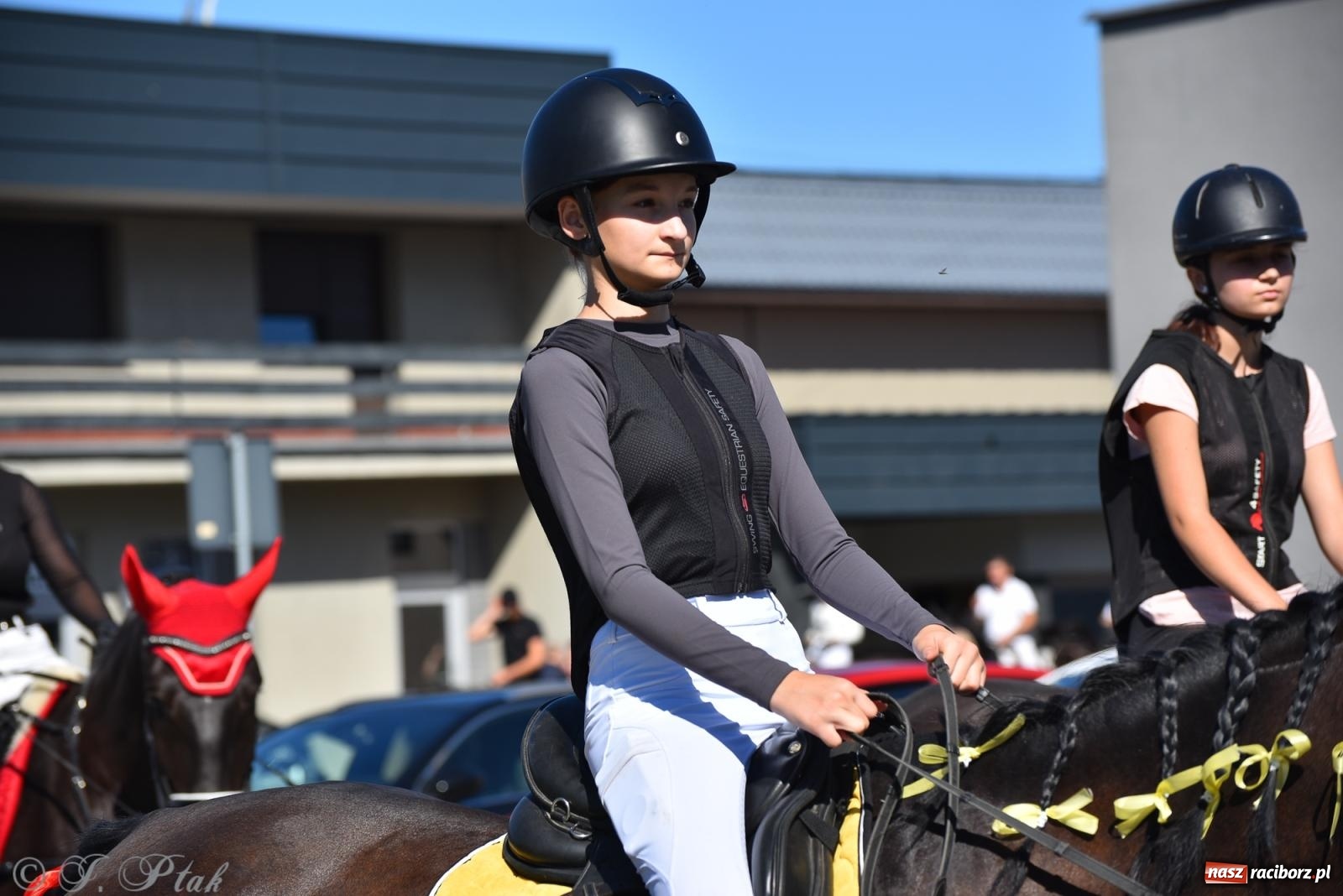 Zdjęcie w galerii na portalu naszraciborz.pl: Hubertus na Ostrogu. Jeźdźcy, bryczki i pogoń za lisem w Raciborzu wiadomości z regionu