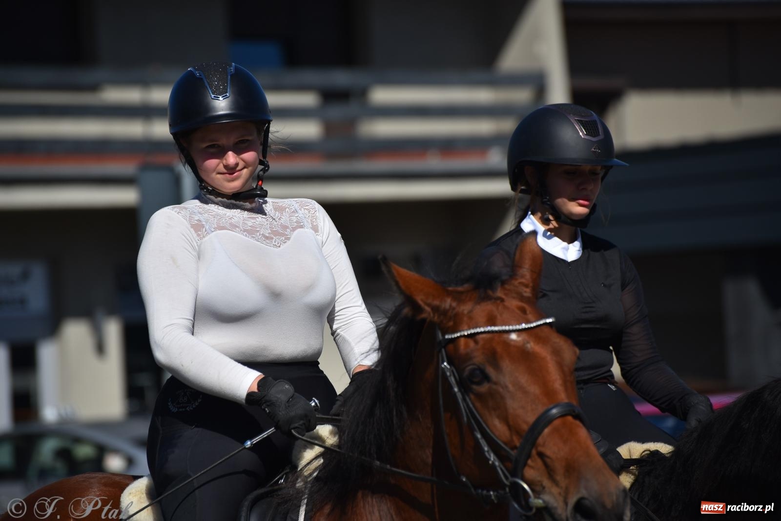 Zdjęcie w galerii na portalu naszraciborz.pl: Hubertus na Ostrogu. Jeźdźcy, bryczki i pogoń za lisem w Raciborzu wiadomości z regionu