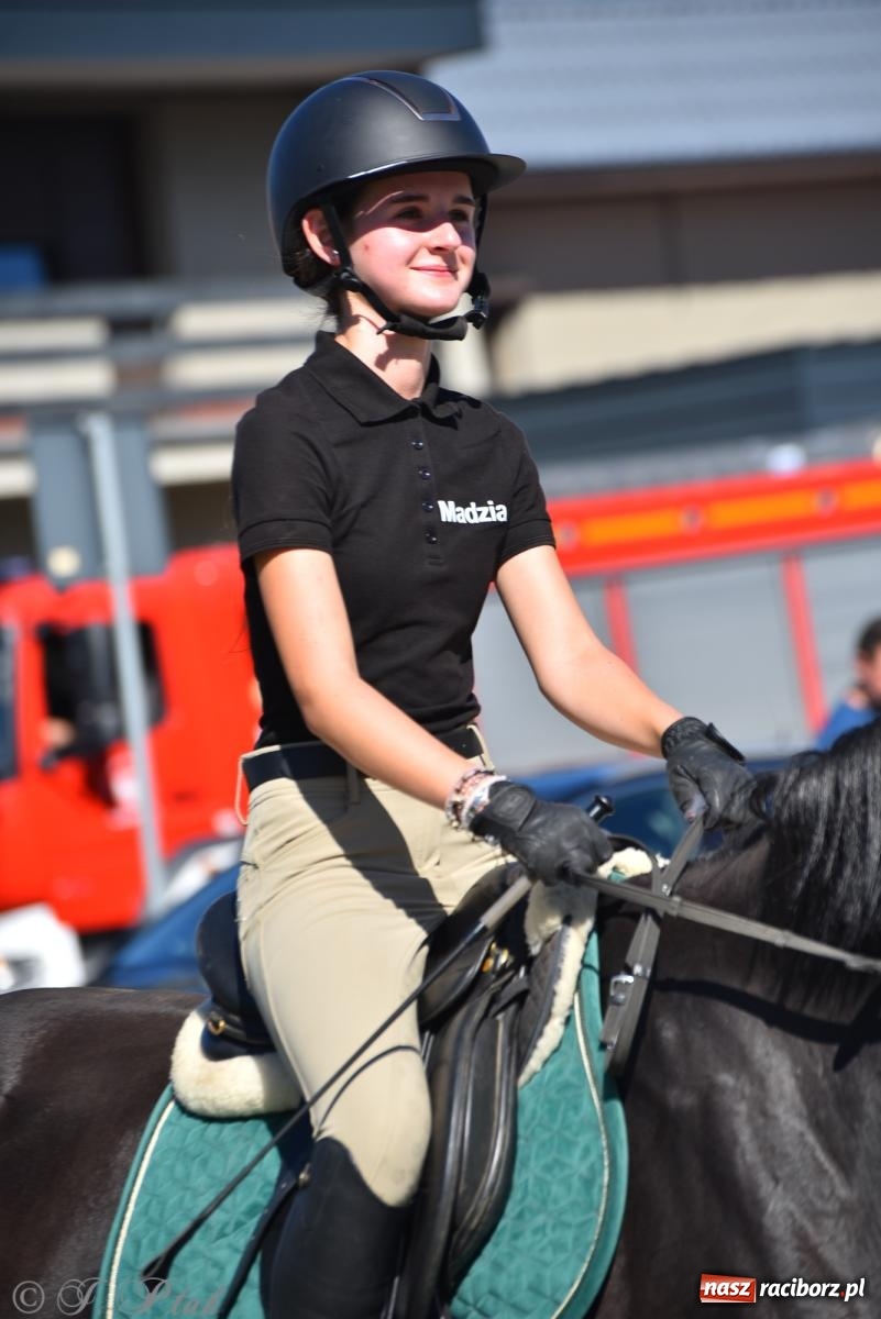 Zdjęcie w galerii na portalu naszraciborz.pl: Hubertus na Ostrogu. Jeźdźcy, bryczki i pogoń za lisem w Raciborzu wiadomości z regionu